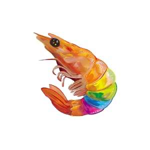 user avatar image for Misha