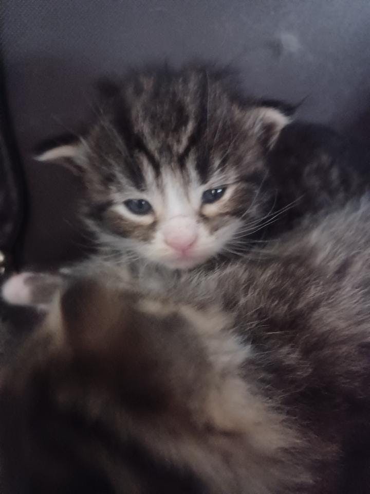 user avatar image for Jasha 