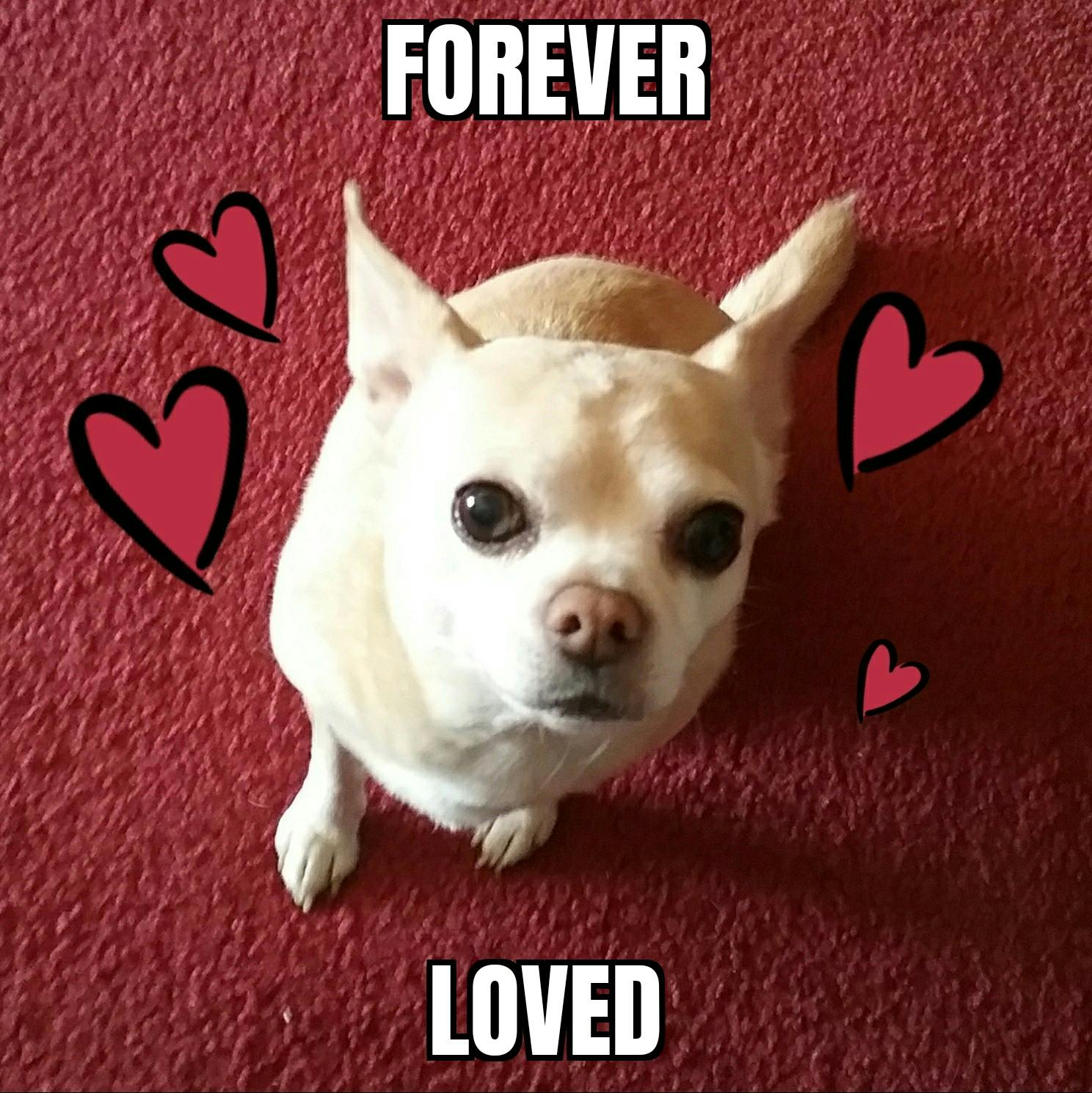 user avatar image for Michael pittek