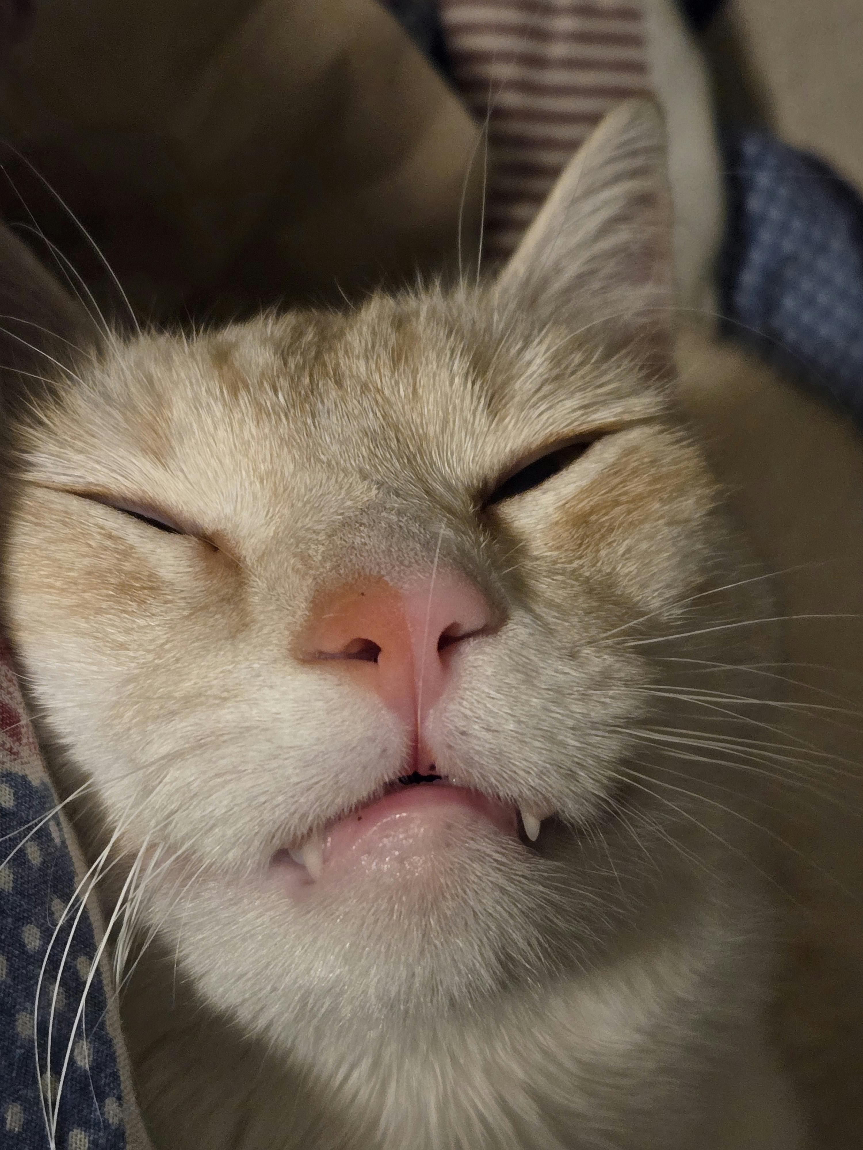 user avatar image for Withstand