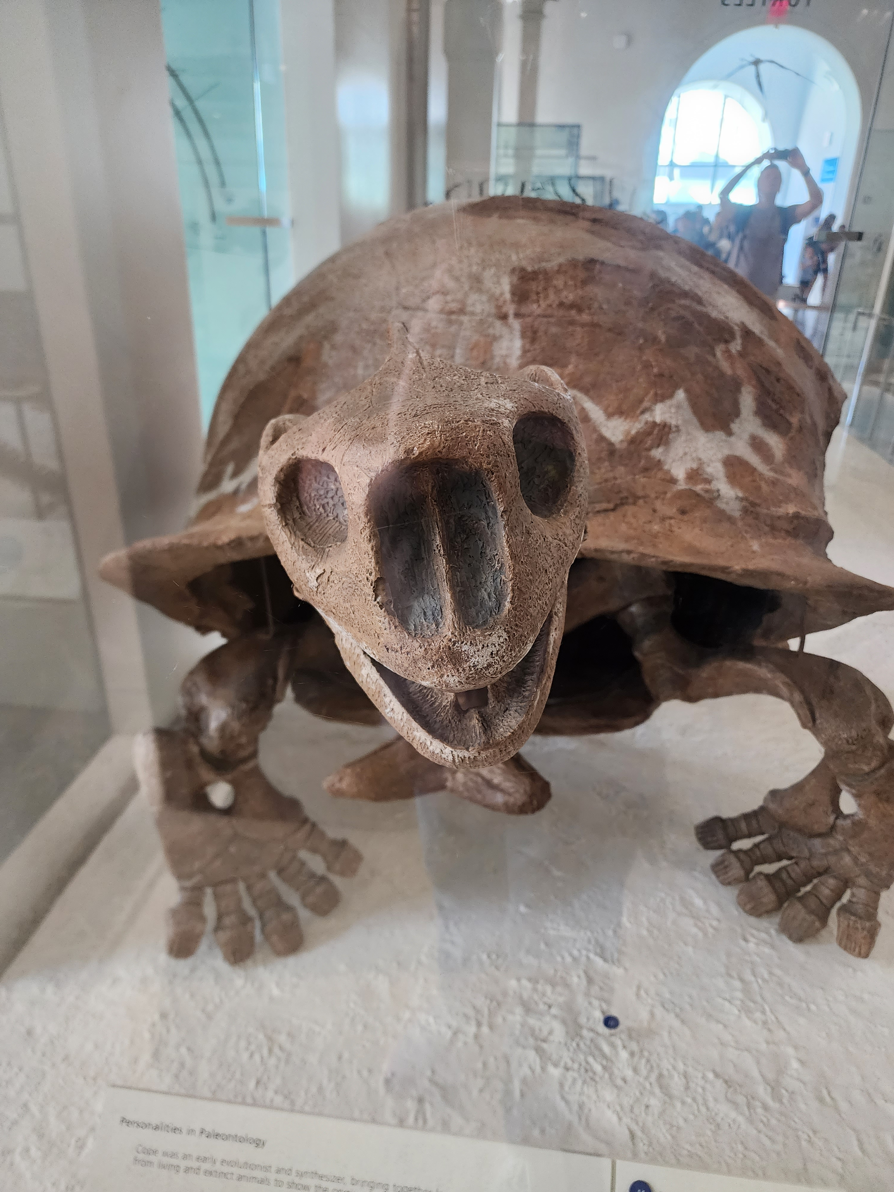 user avatar image for Teska