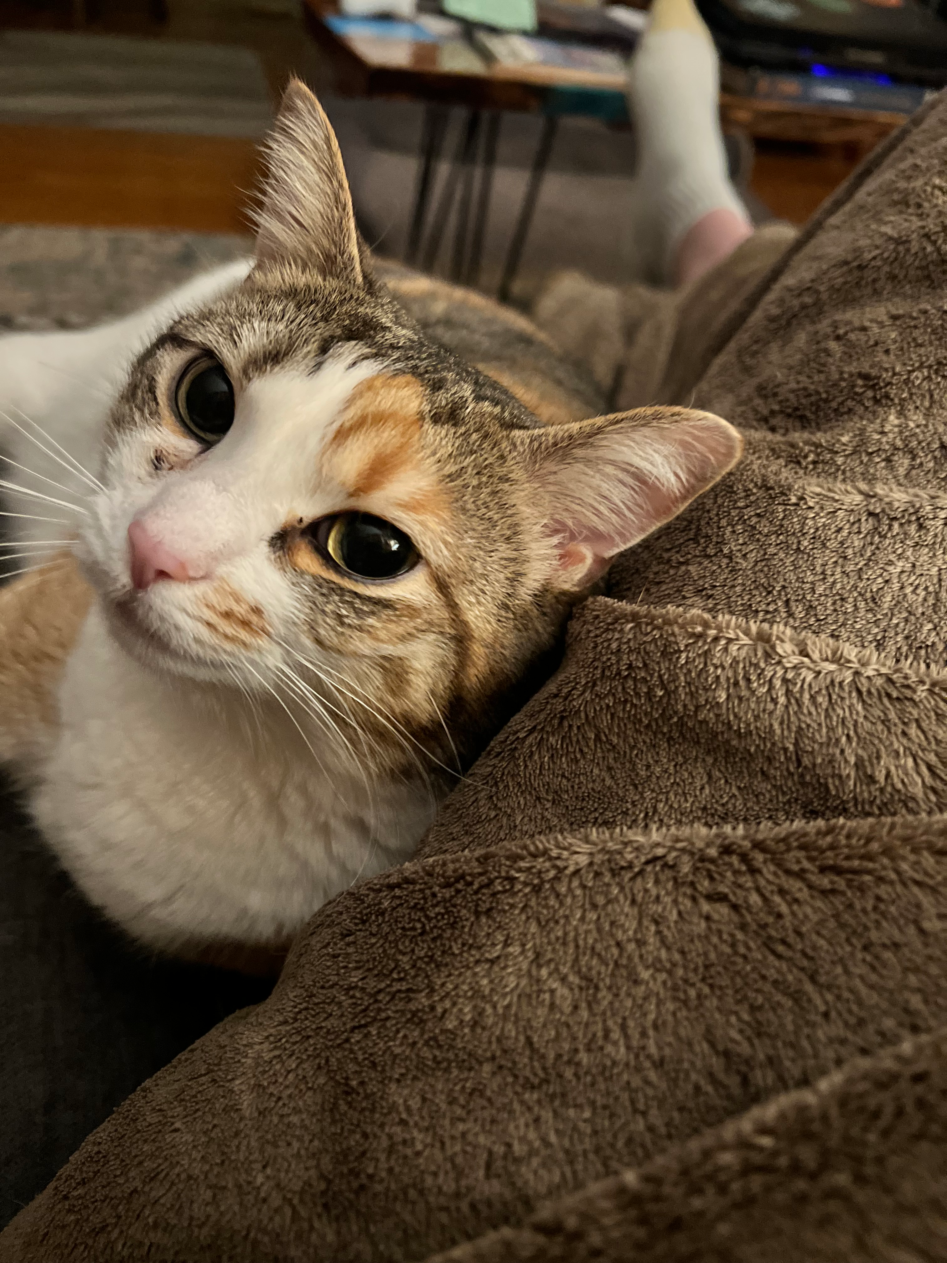 user avatar image for Keith VanCamp