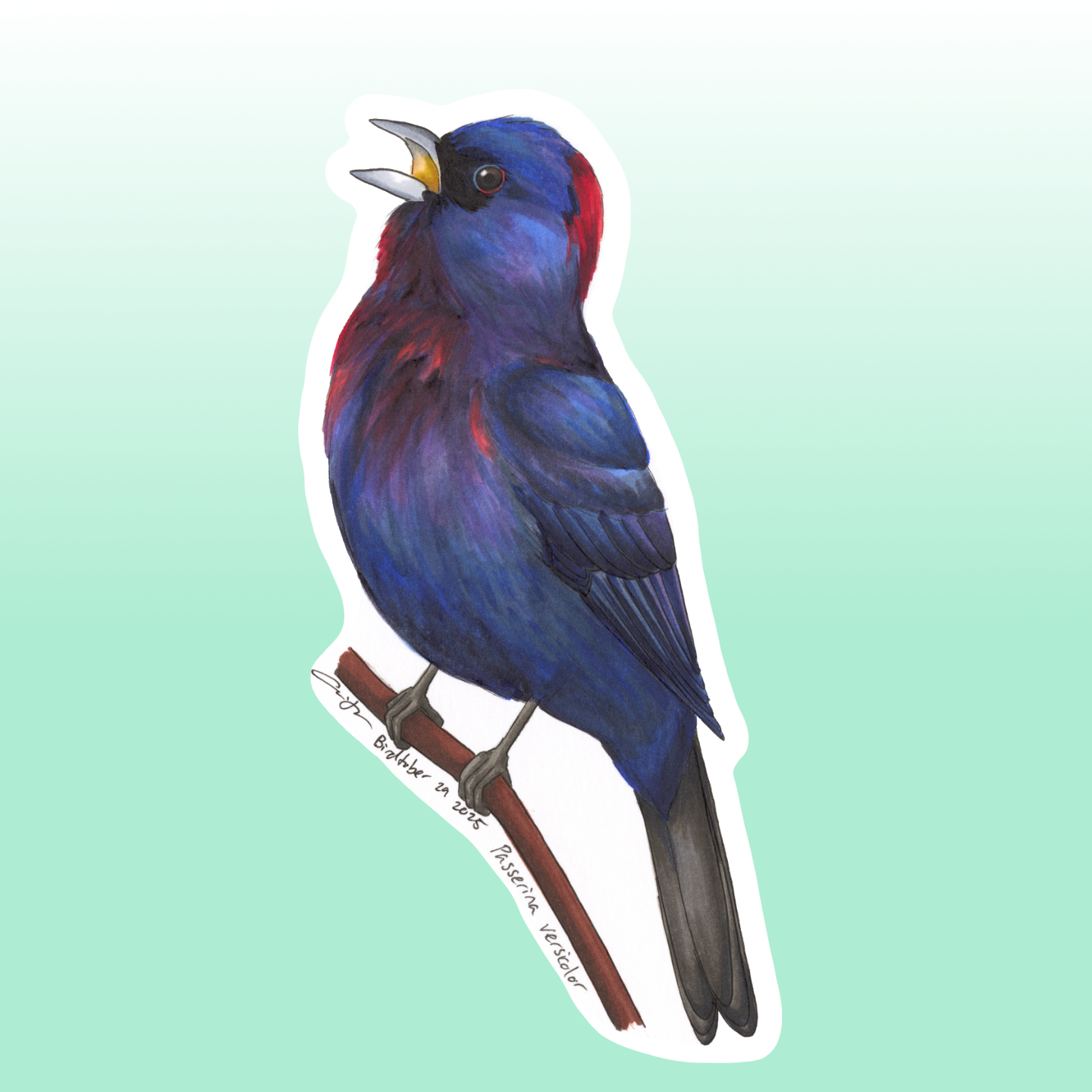 Varied Bunting