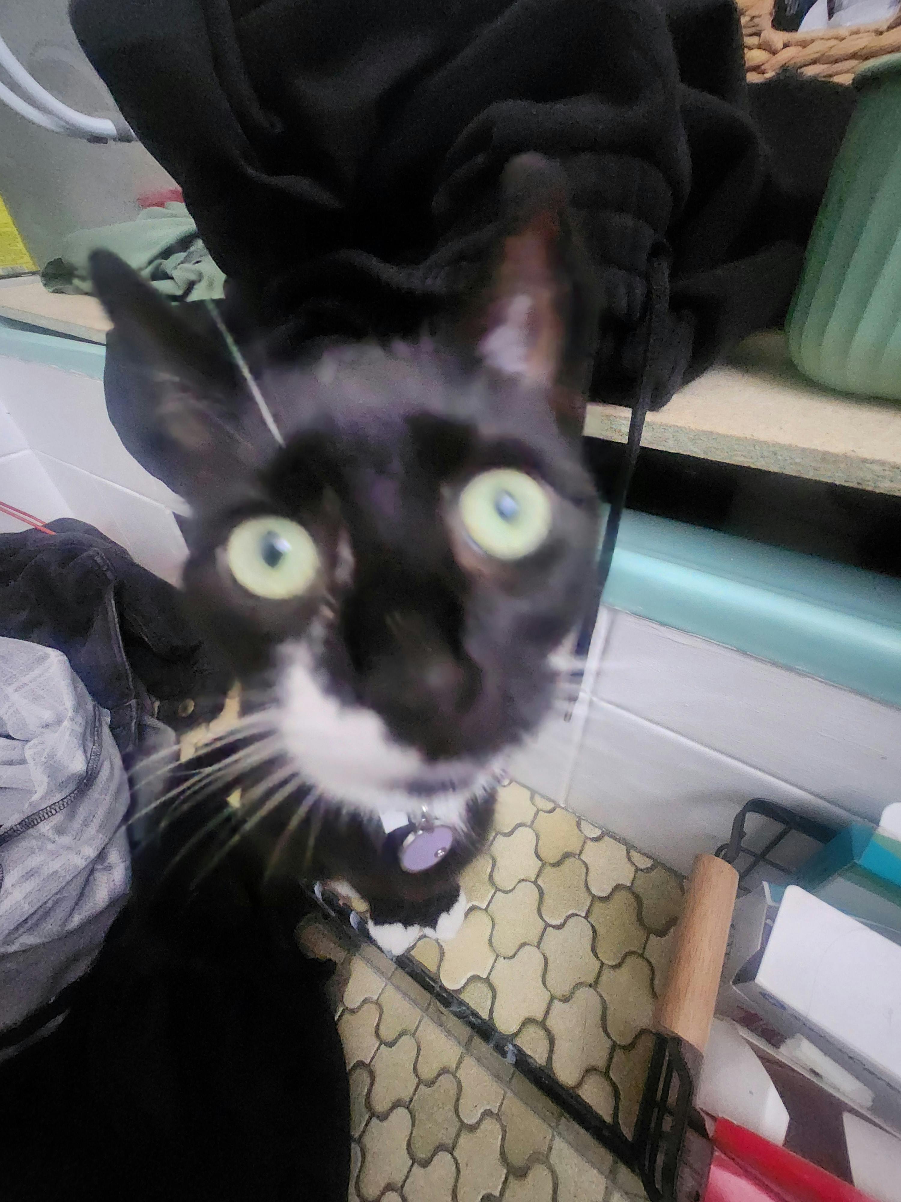 user avatar image for Flynn