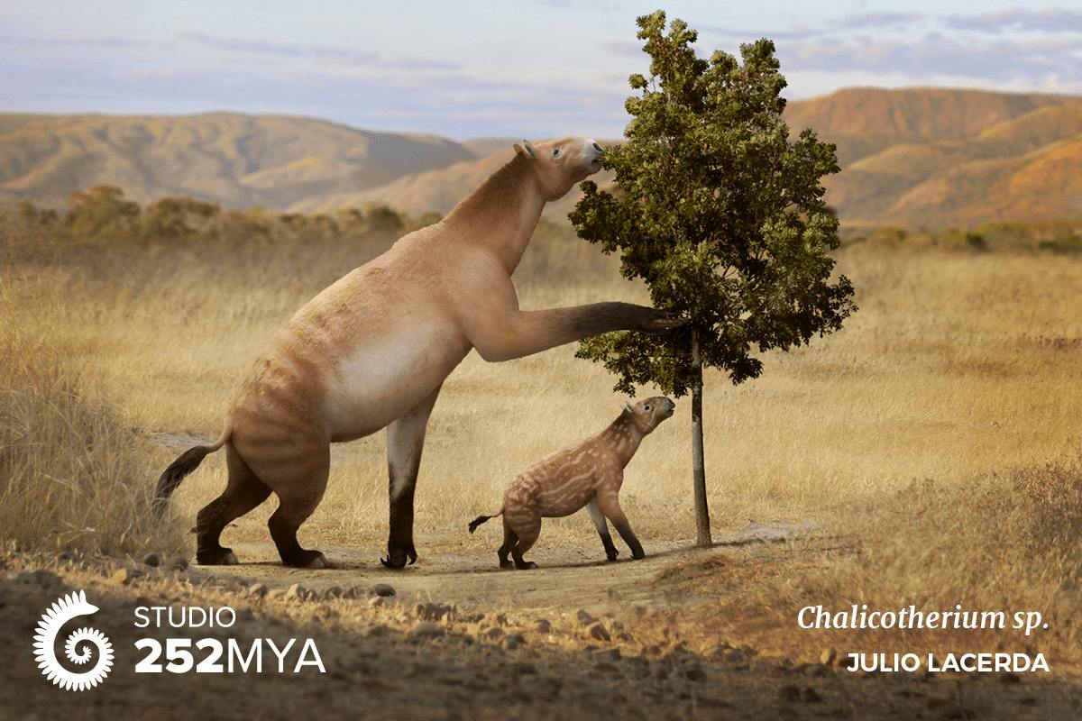 Chalicotherium