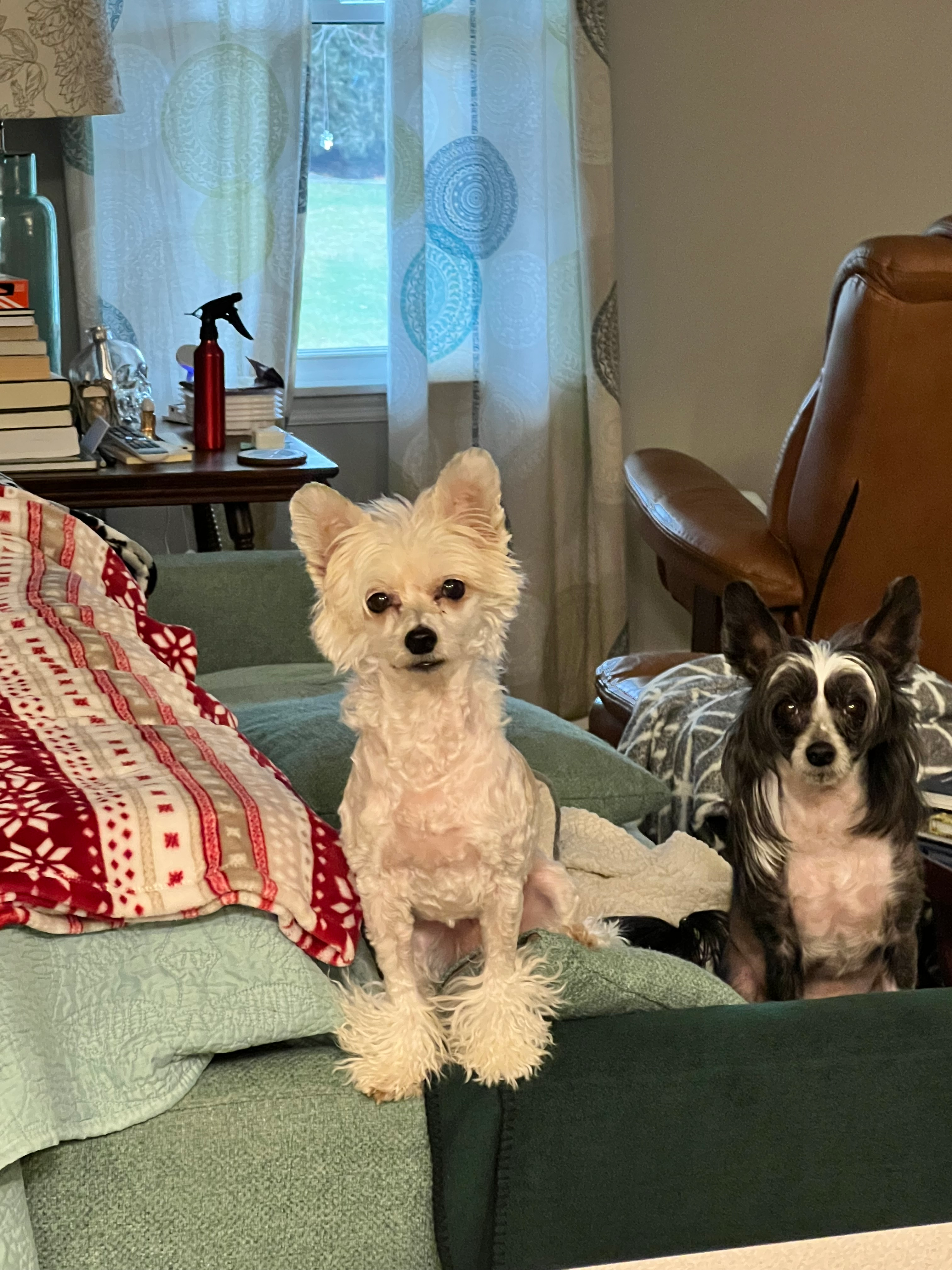 user avatar image for Alicia