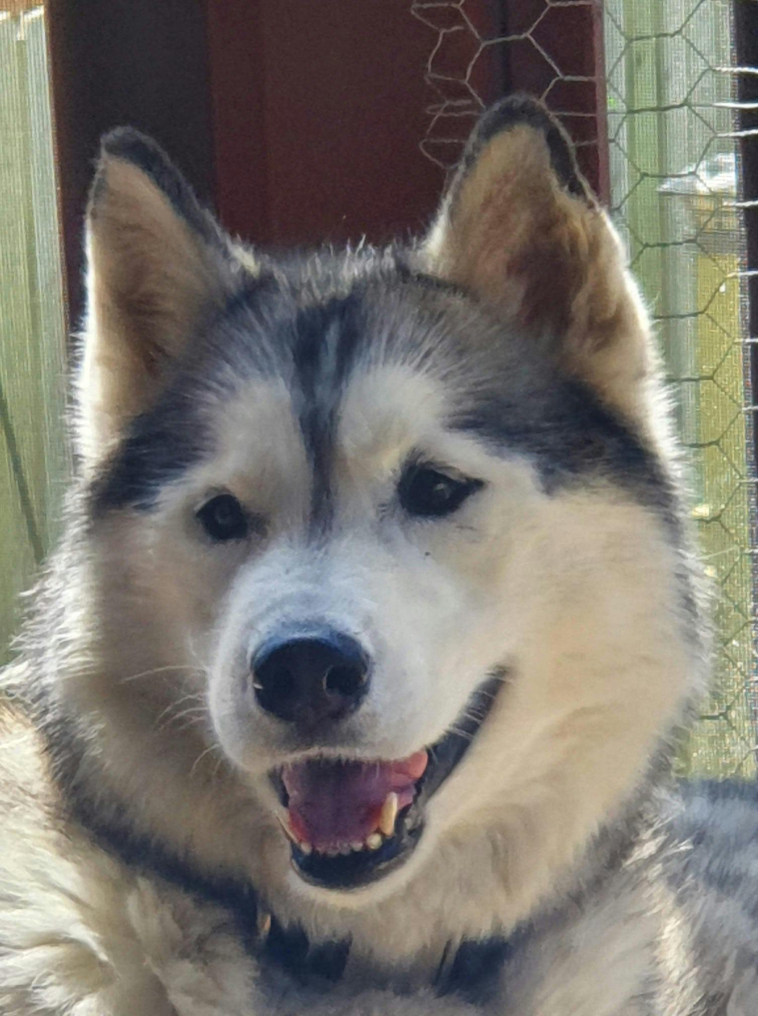 user avatar image for Selene Carroll