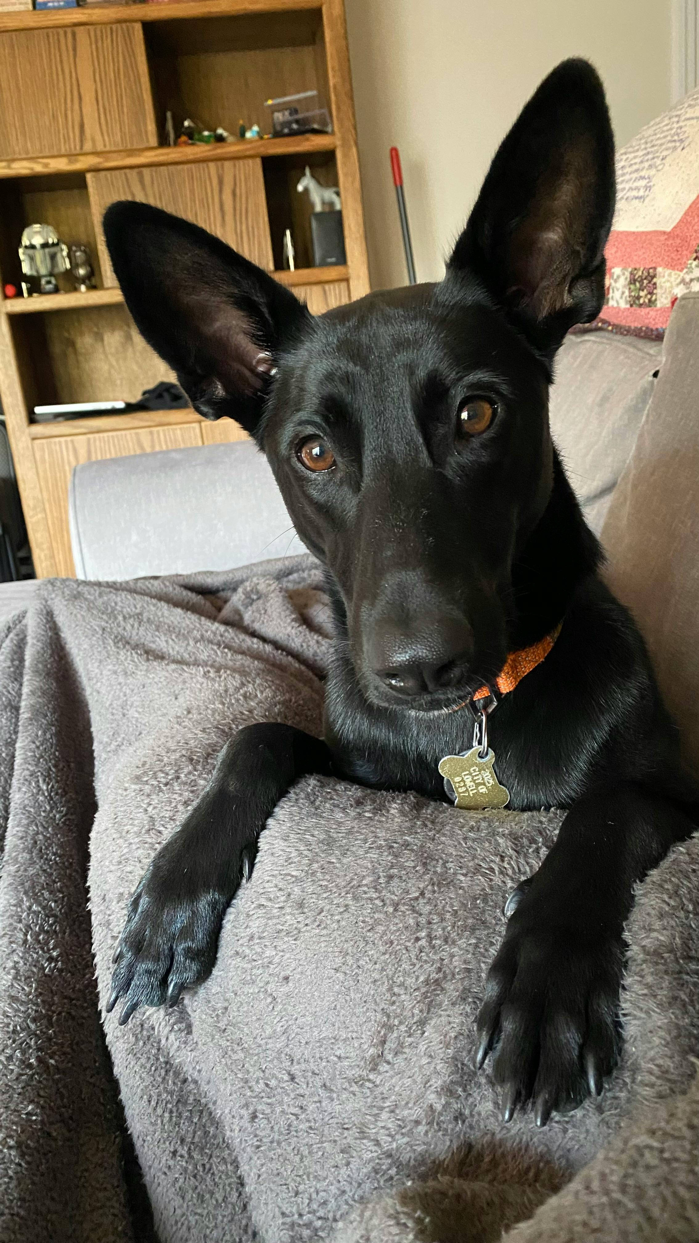 user avatar image for 1PartHarmony