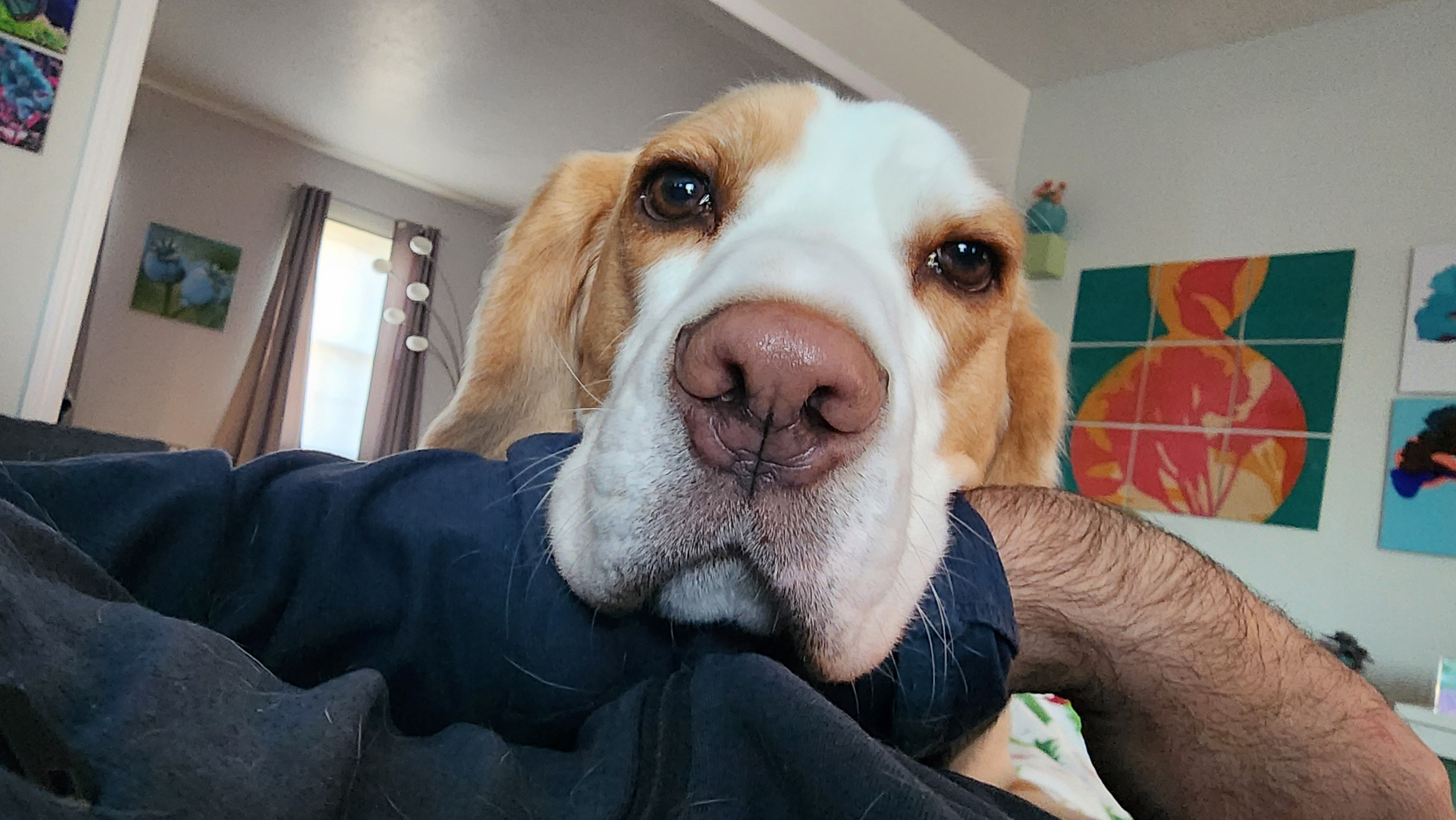 user avatar image for Eric Husser