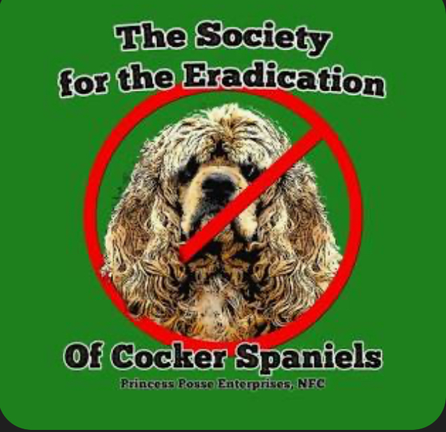 user avatar image for Nicki Beeson