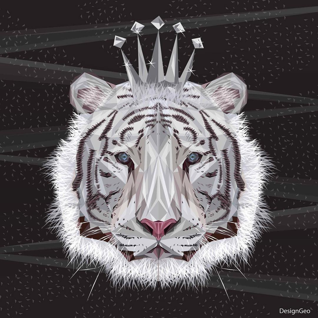 user avatar image for TJ Singh