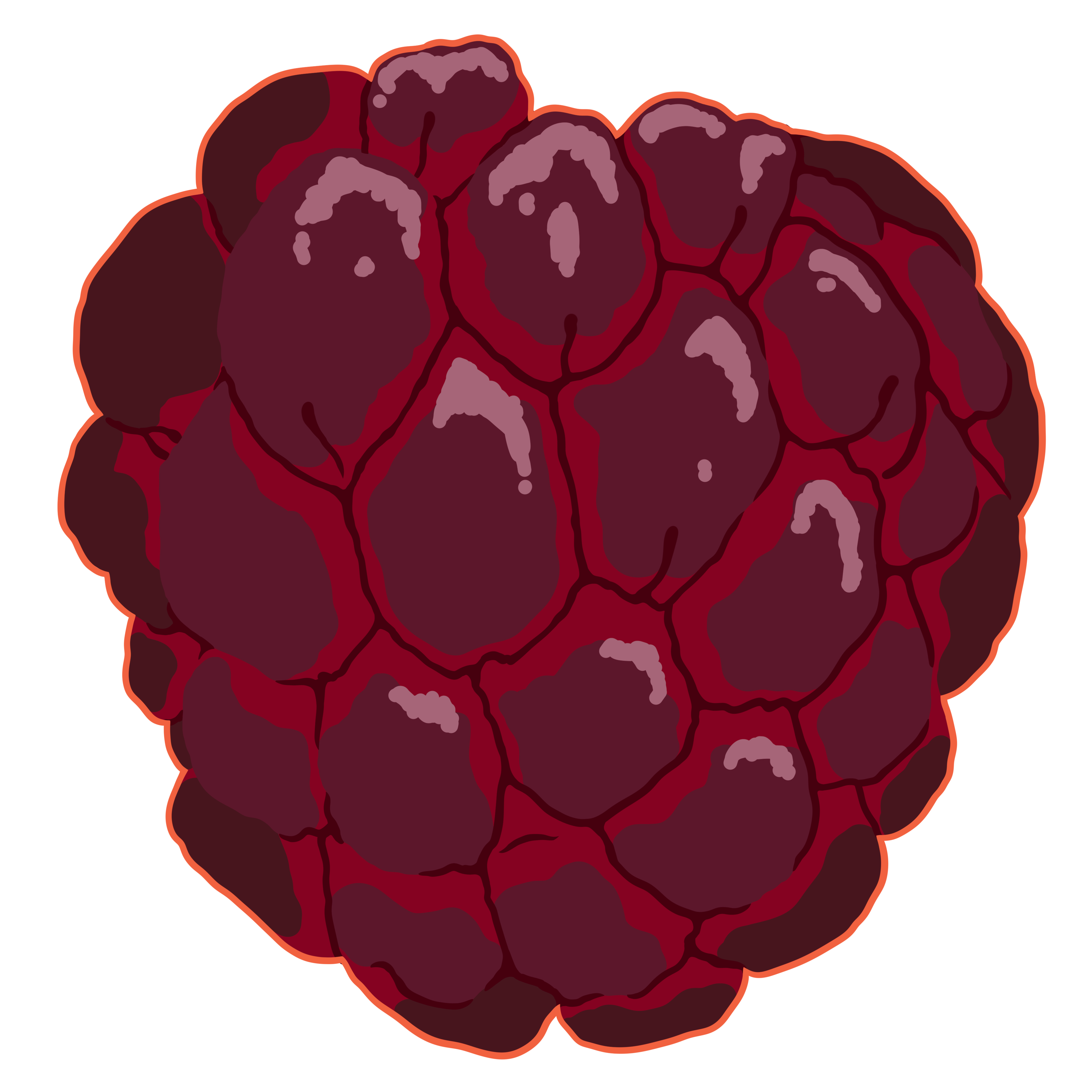 Fruits Basket