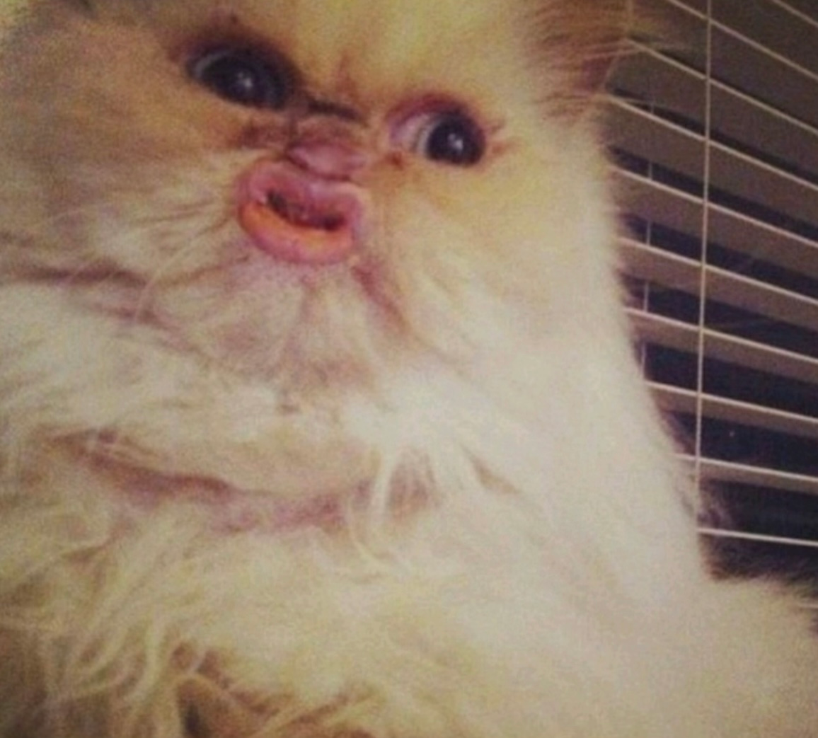 user avatar image for Matthew Crigger