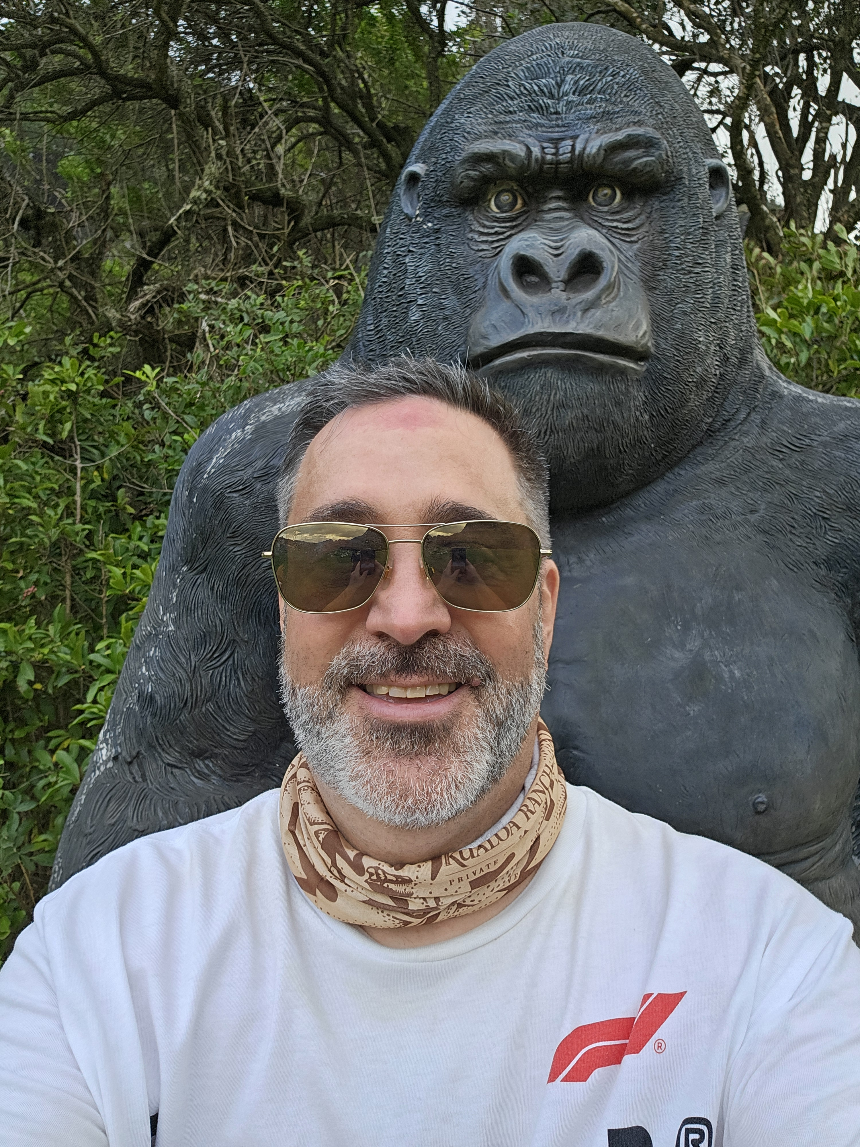 user avatar image for Jon W