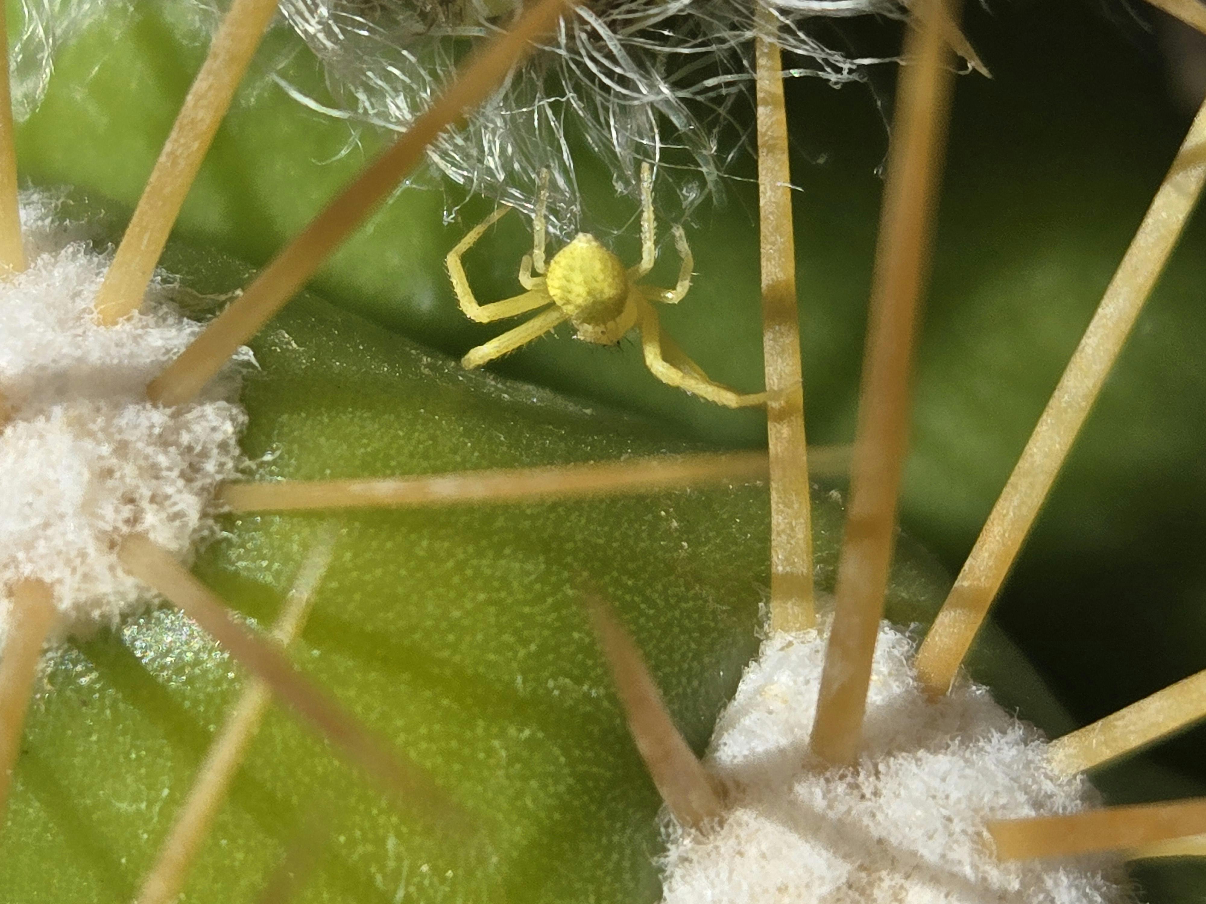 user avatar image for Michael Rees