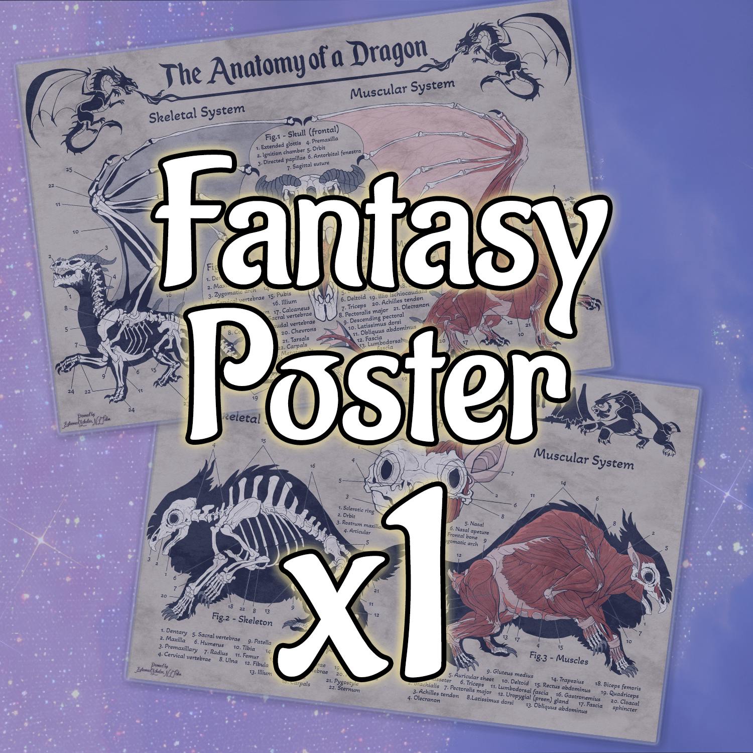 Fantasy Anatomy Poster (USA ONLY)