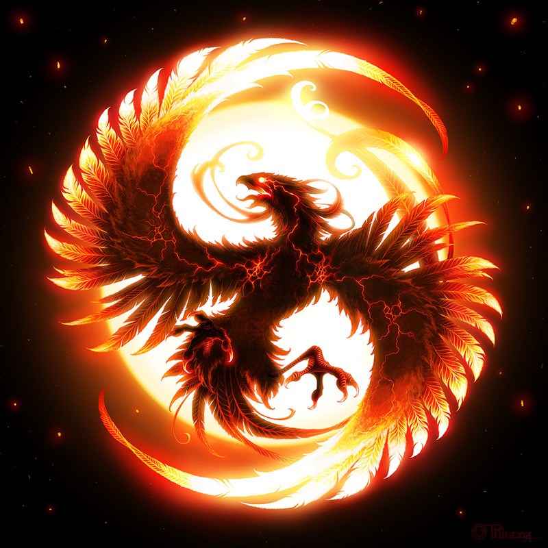 user avatar image for Noah Adams