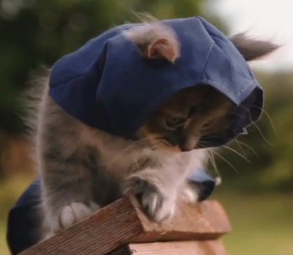 user avatar image for Senile Larry