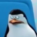 user avatar image for Toddi