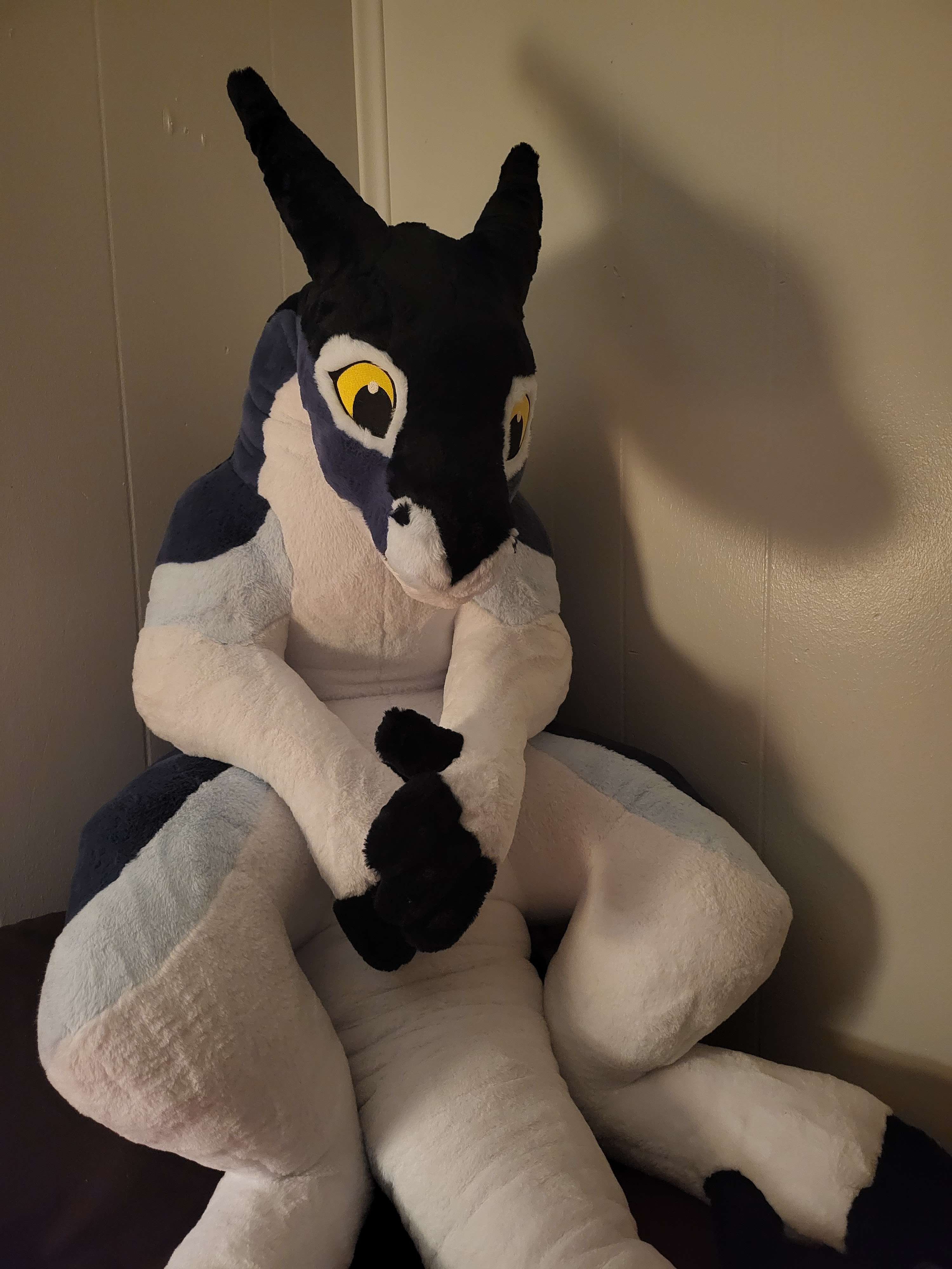 user avatar image for Raymond Hemphill