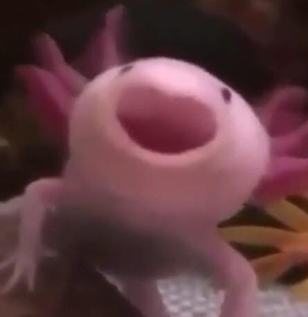 user avatar image for Jesse Christoph