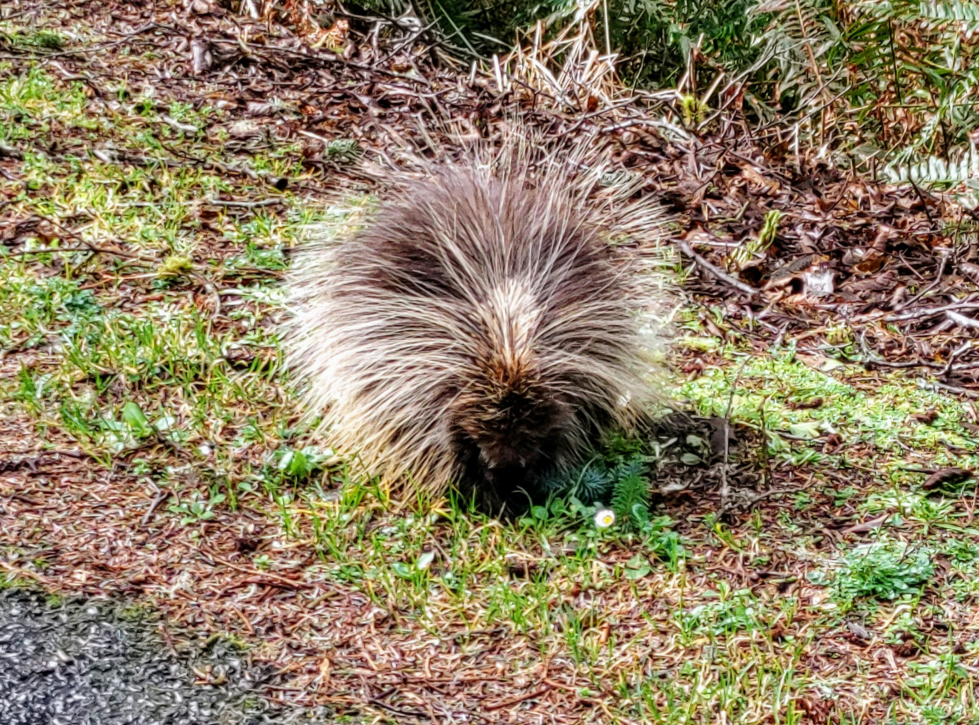 user avatar image for Jonathon Kent