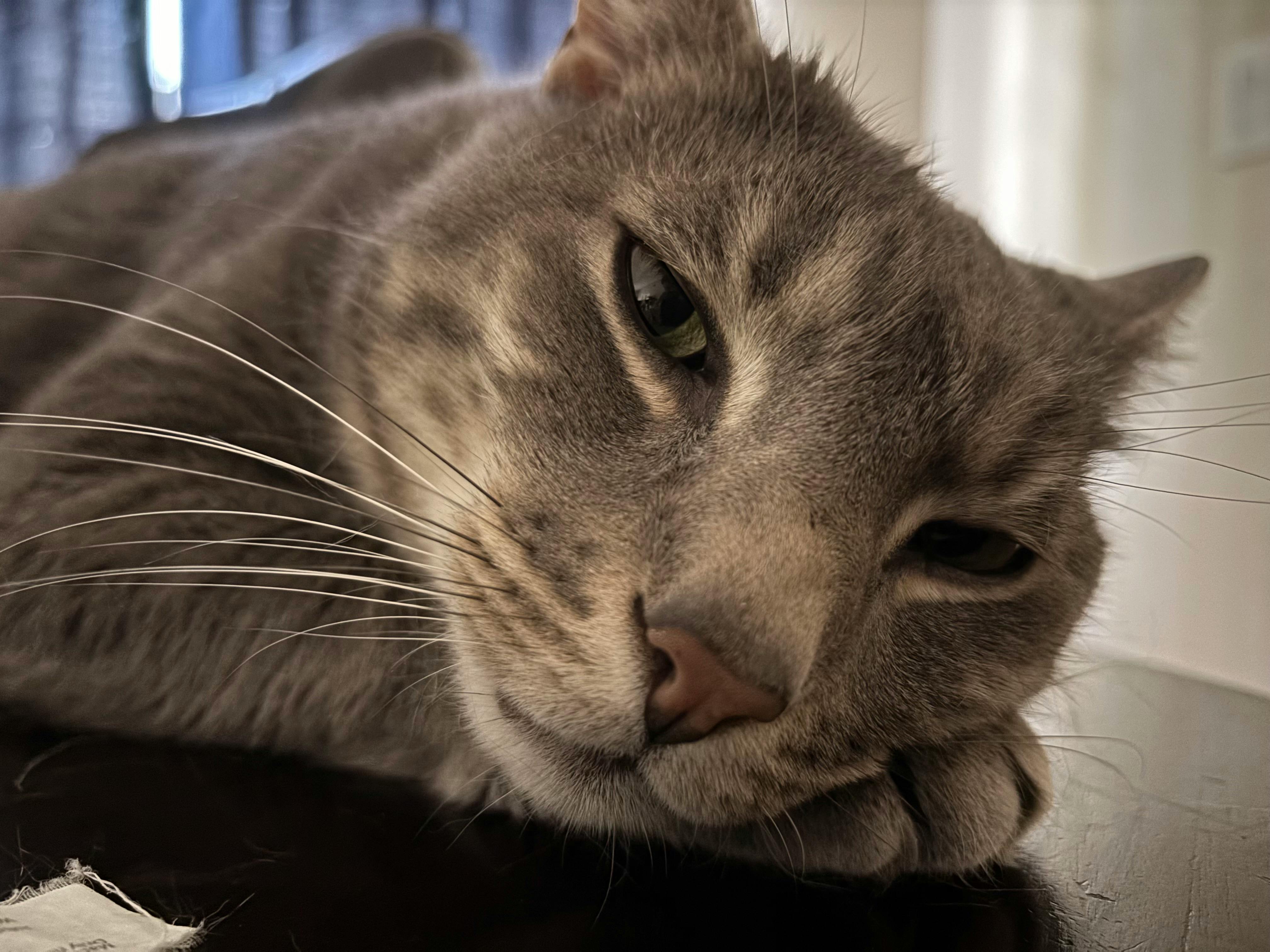 user avatar image for Mike Cardenas