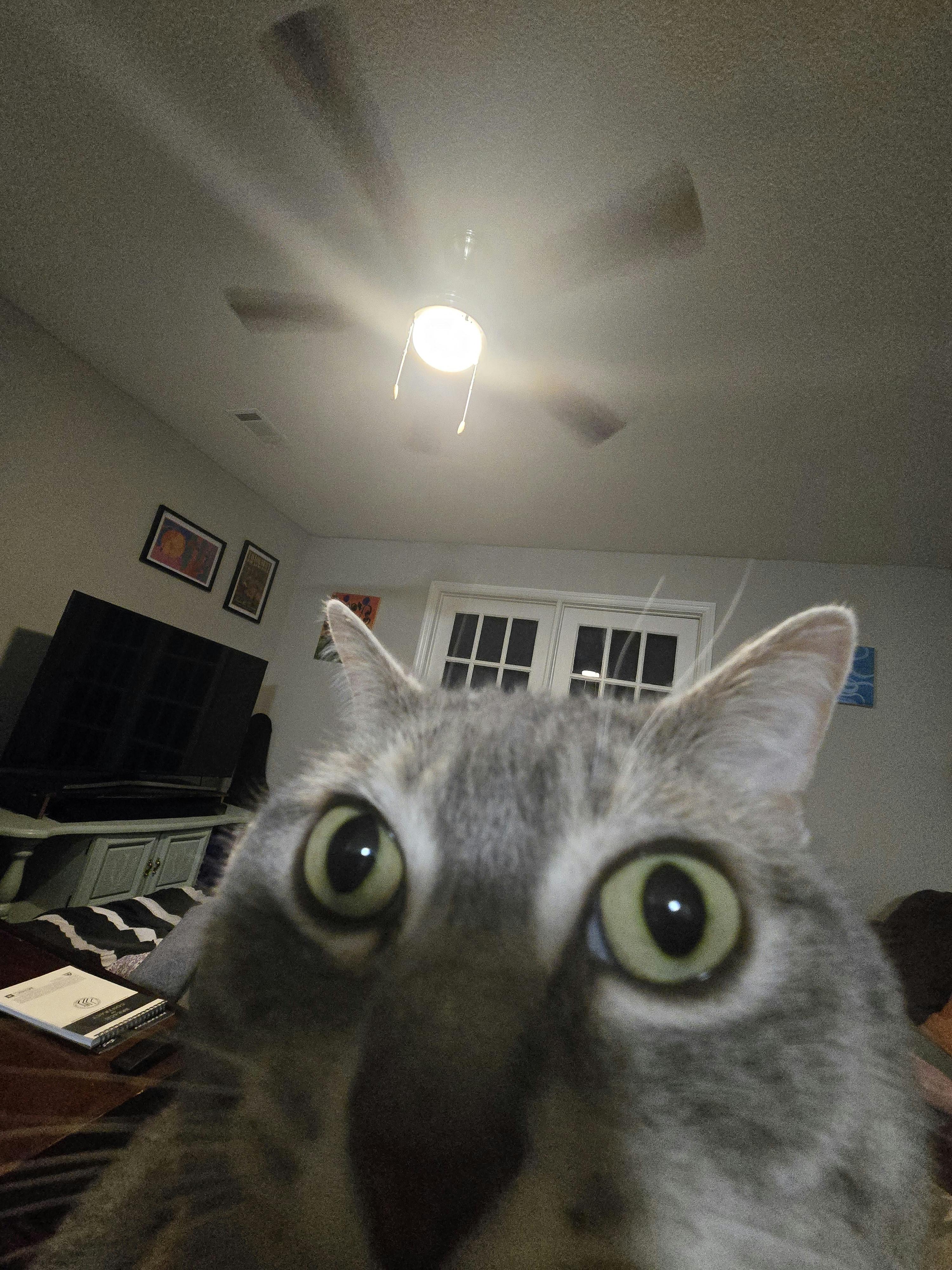 user avatar image for Cheese Supreme 