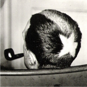 user avatar image for duchamp