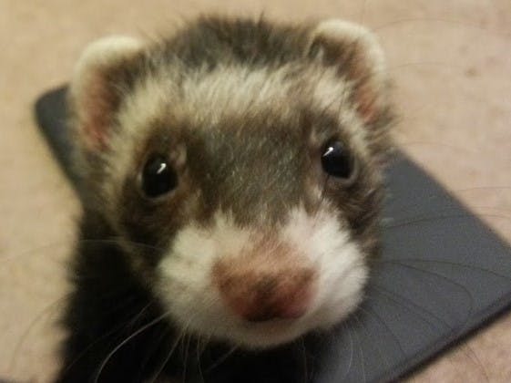 user avatar image for Cathy C