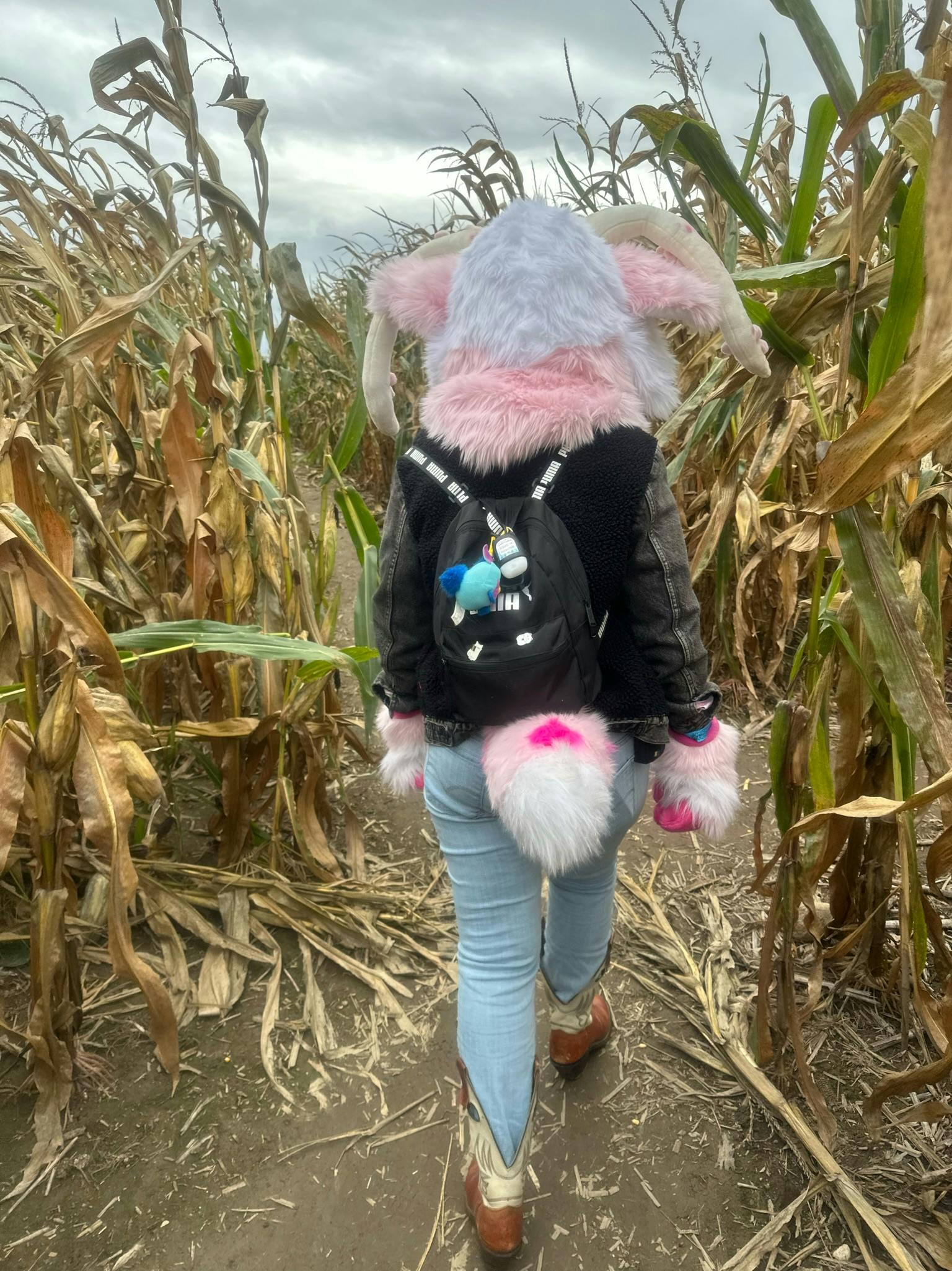 user avatar image for Midnight Moon