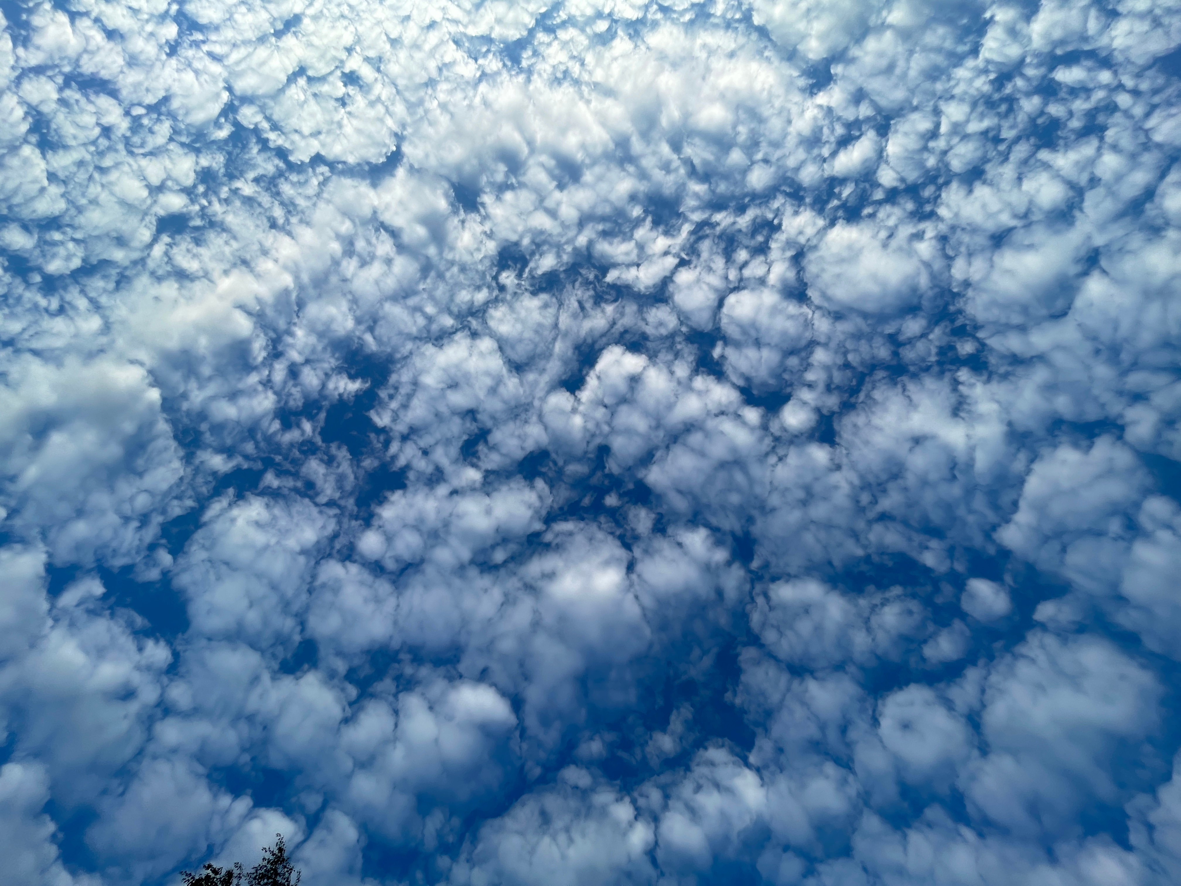 user avatar image for StarCecil4