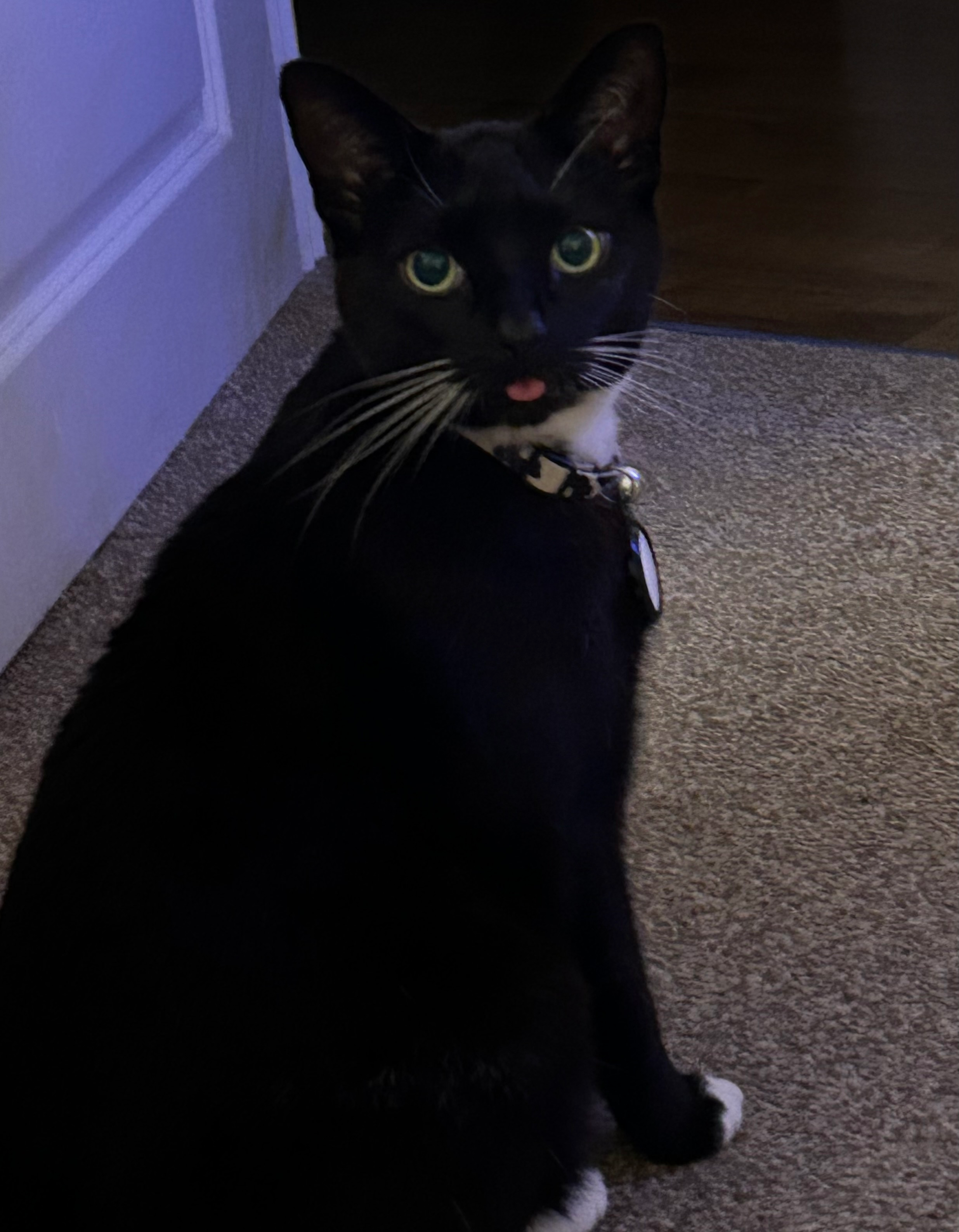 user avatar image for Claire McGregor