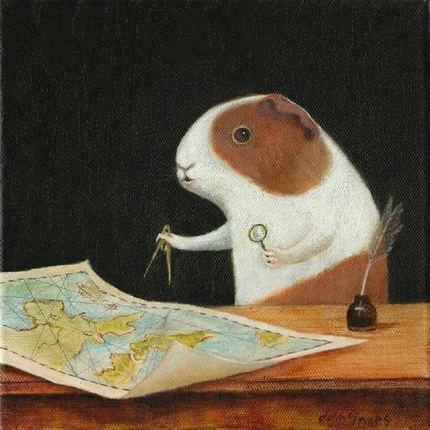 user avatar image for Percy