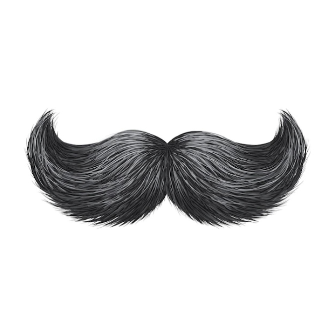 user avatar image for MrMustachoMan