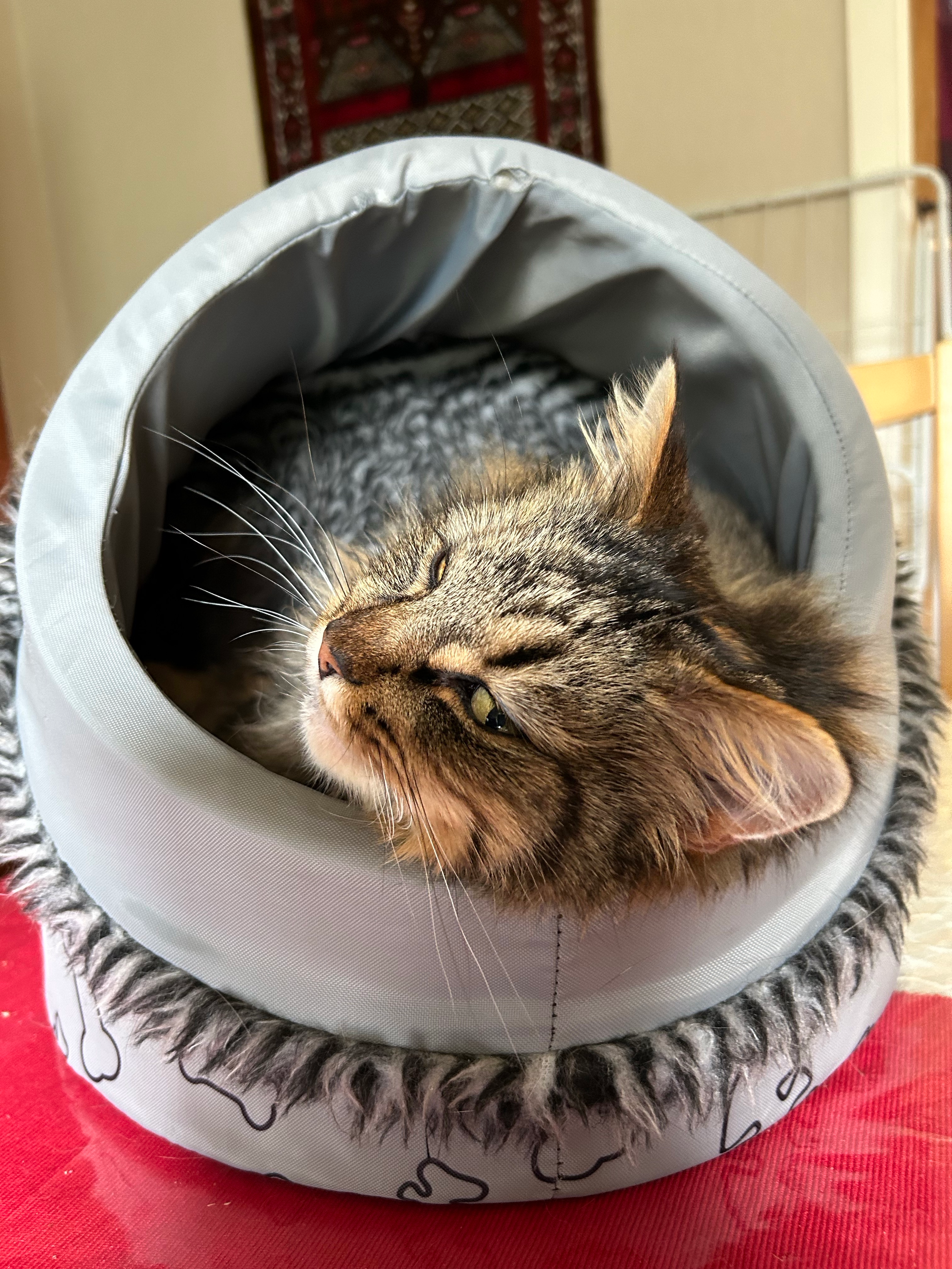 user avatar image for Ingunn