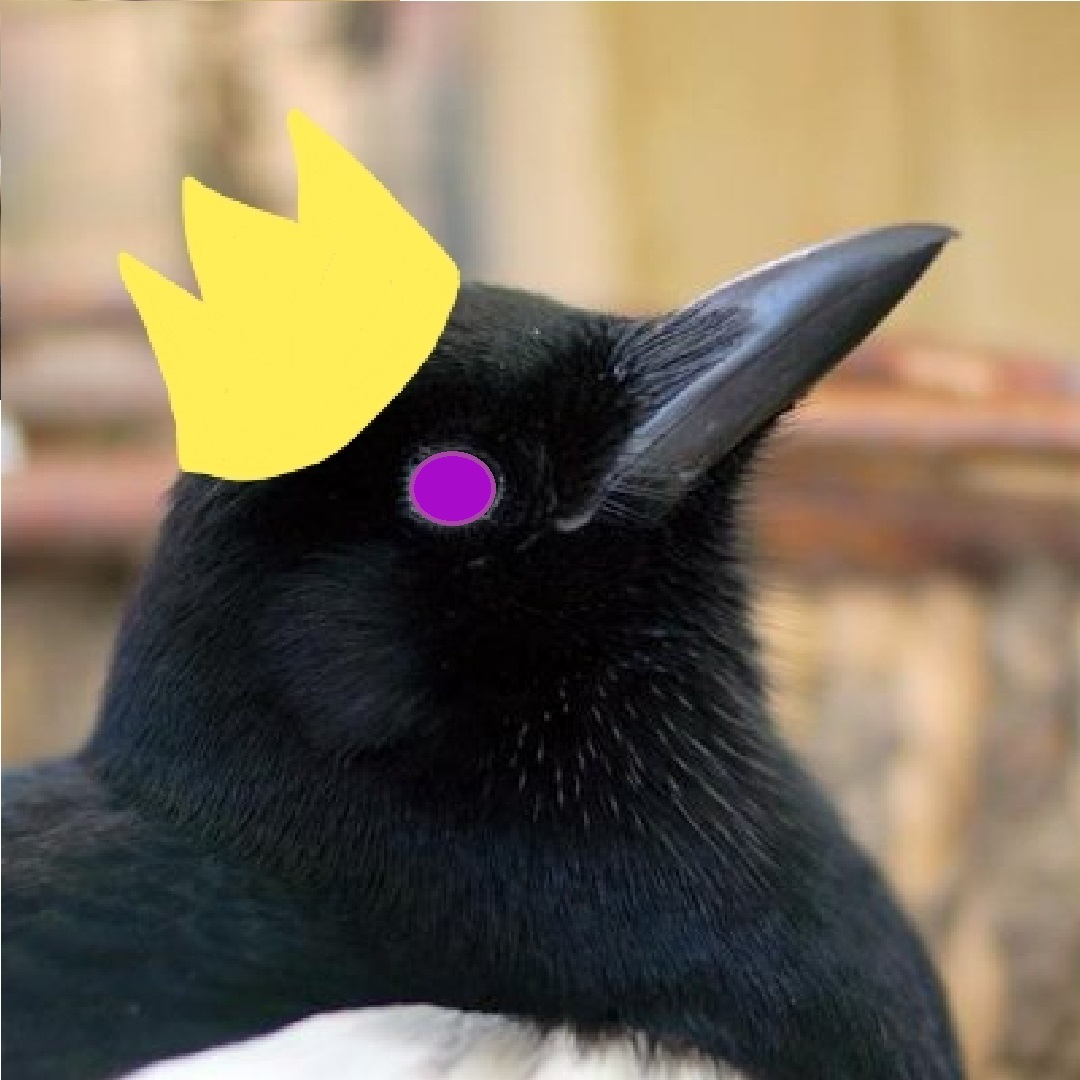 user avatar image for m4gpiie