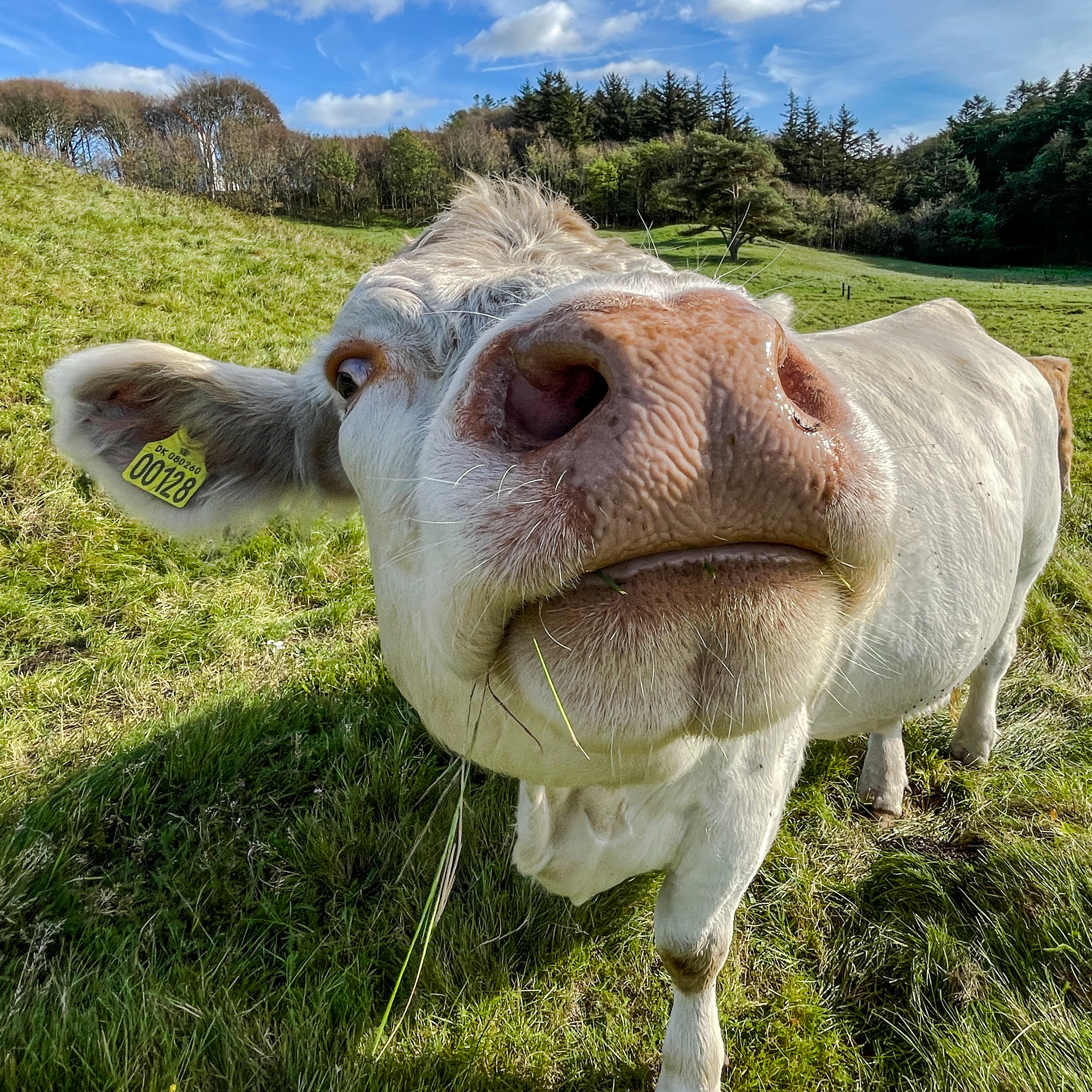 user avatar image for Mikael Strand Nielsen