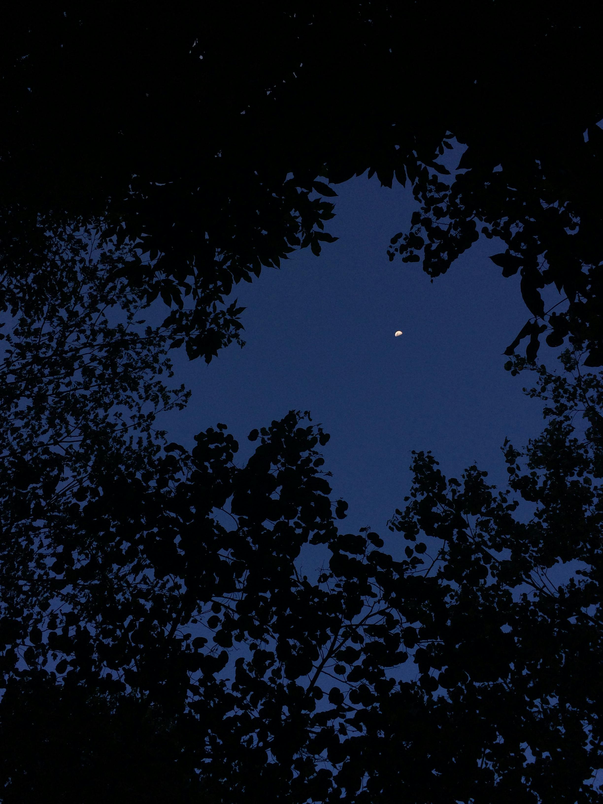 user avatar image for Kei