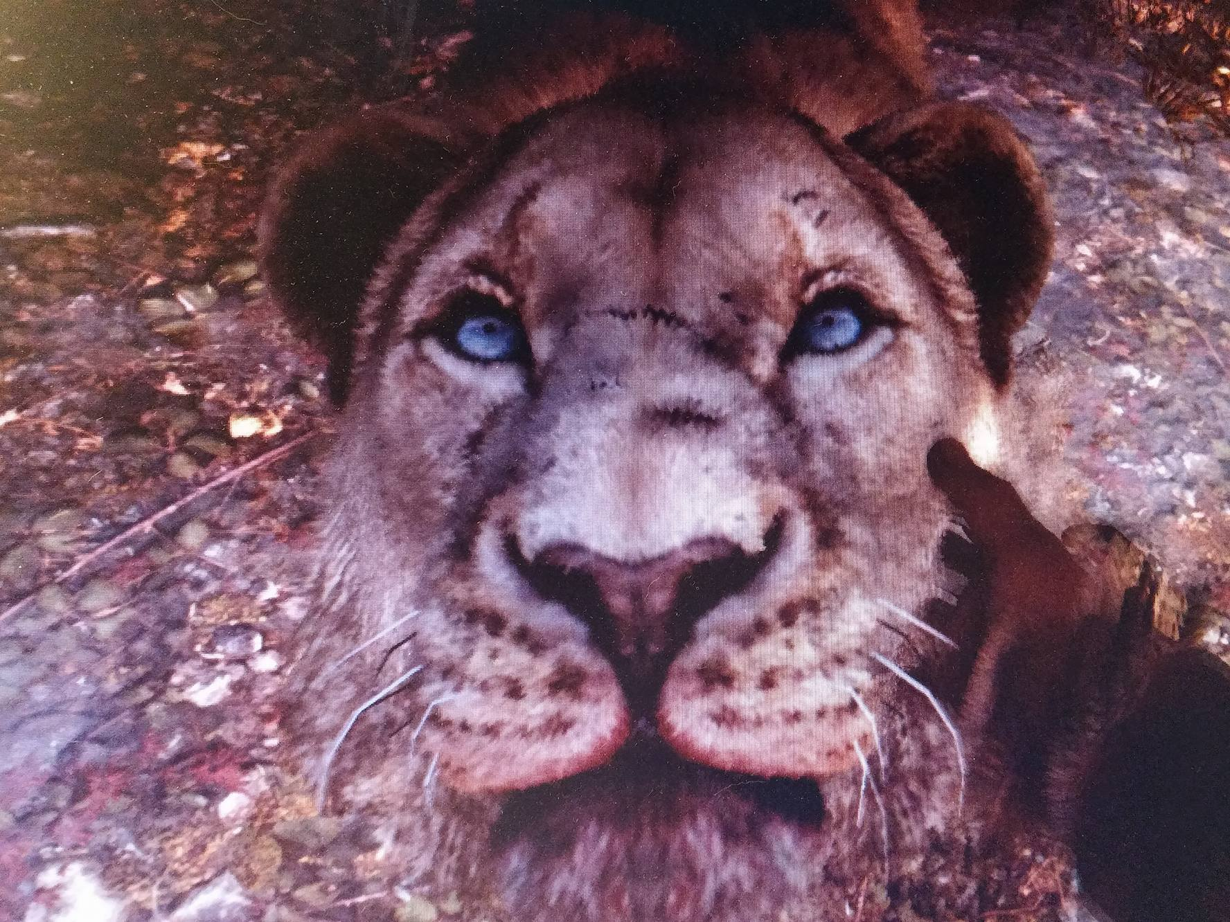 user avatar image for Rasmus Strand