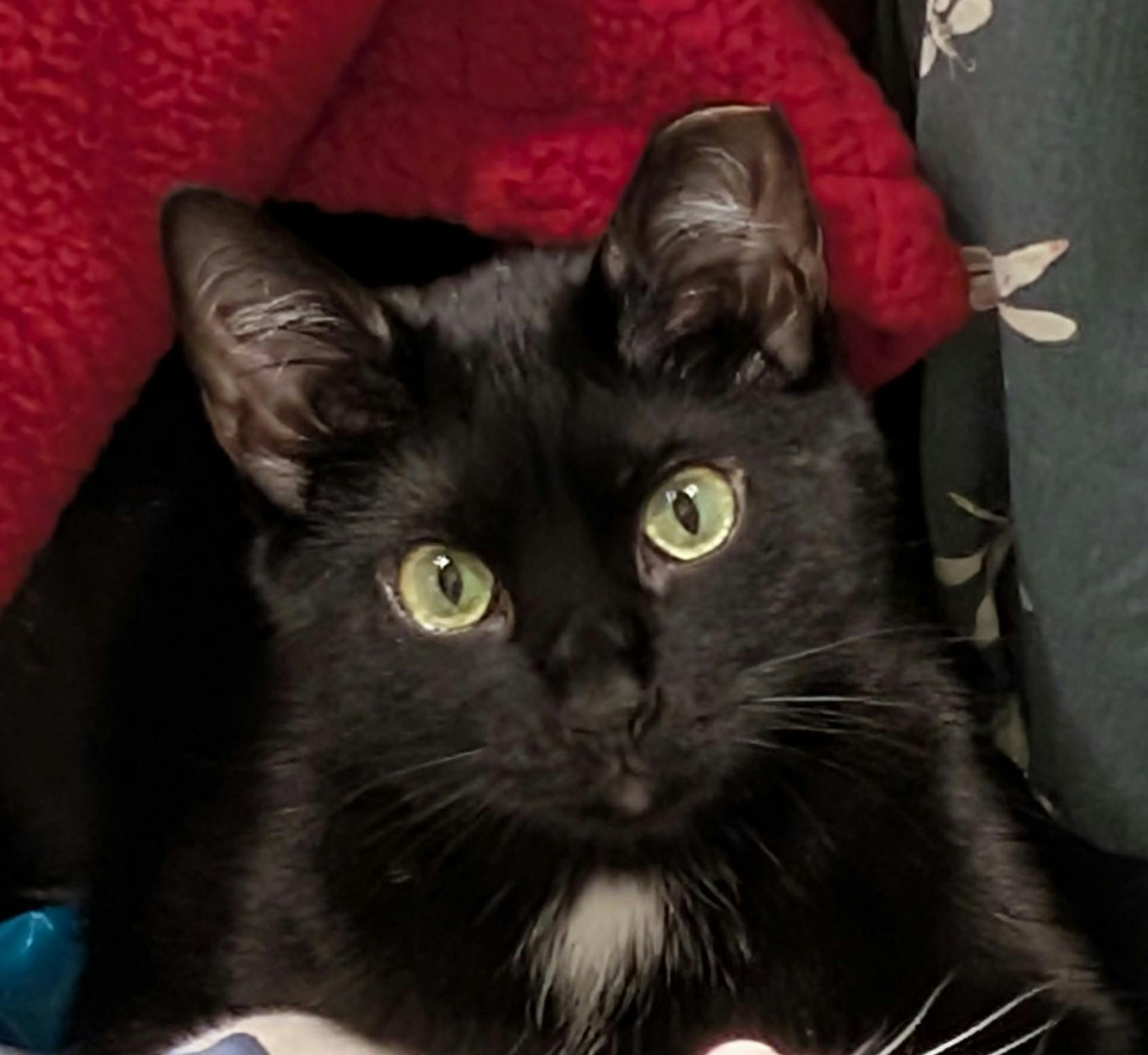 user avatar image for Dan