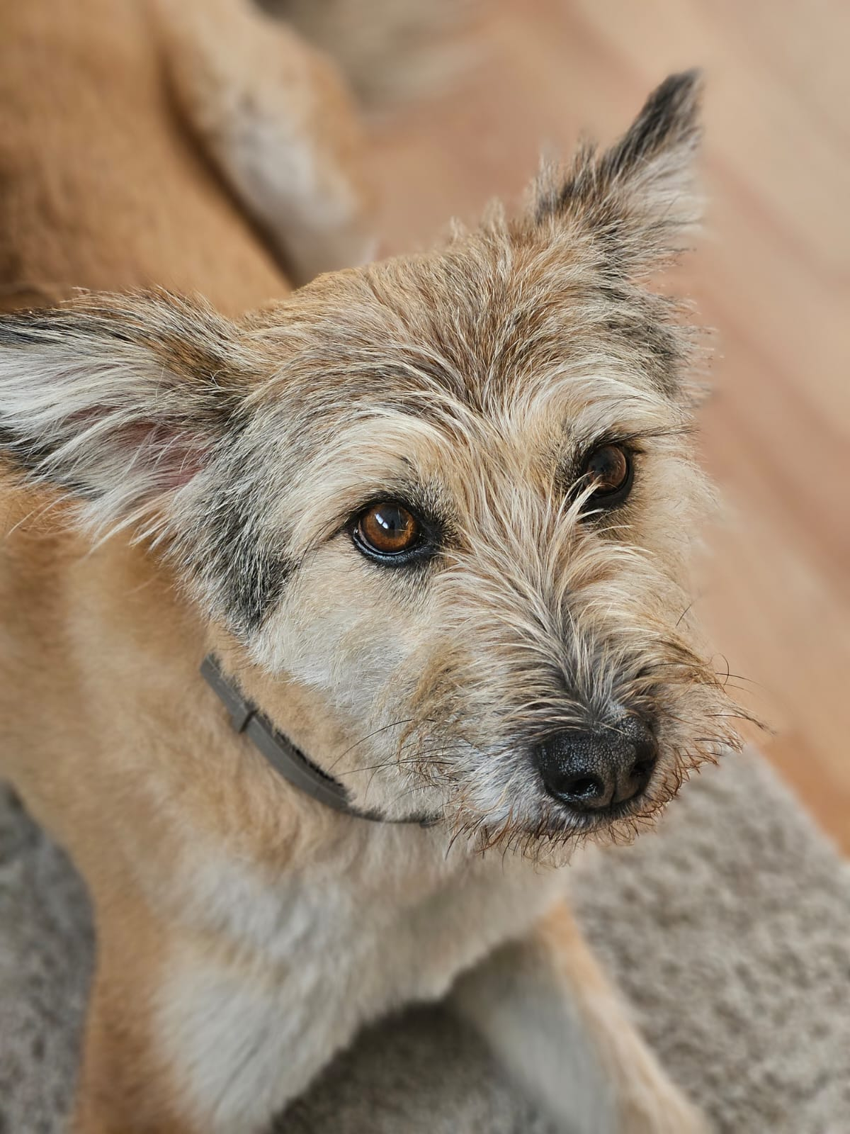 user avatar image for Arne