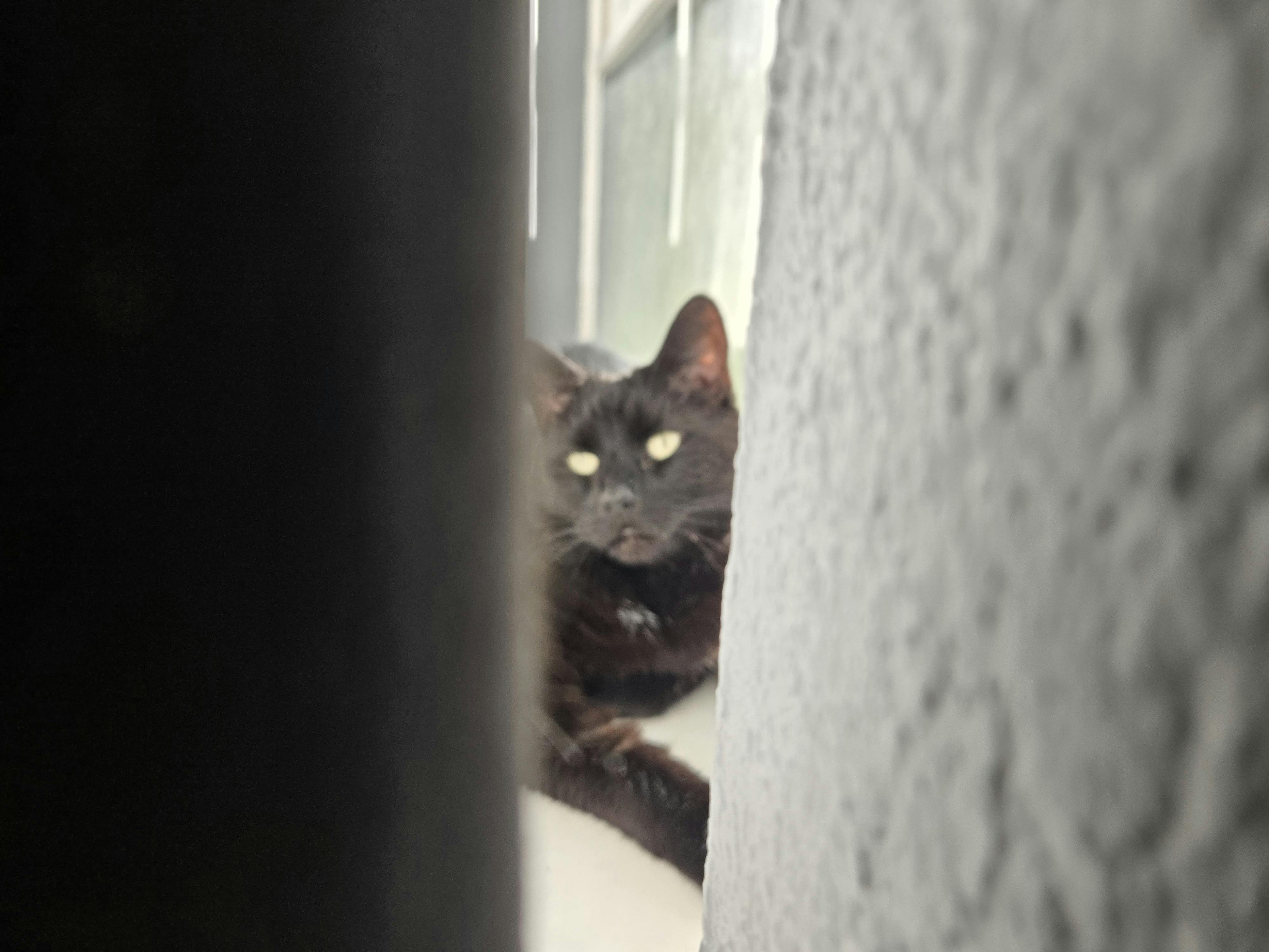 user avatar image for DMDad37