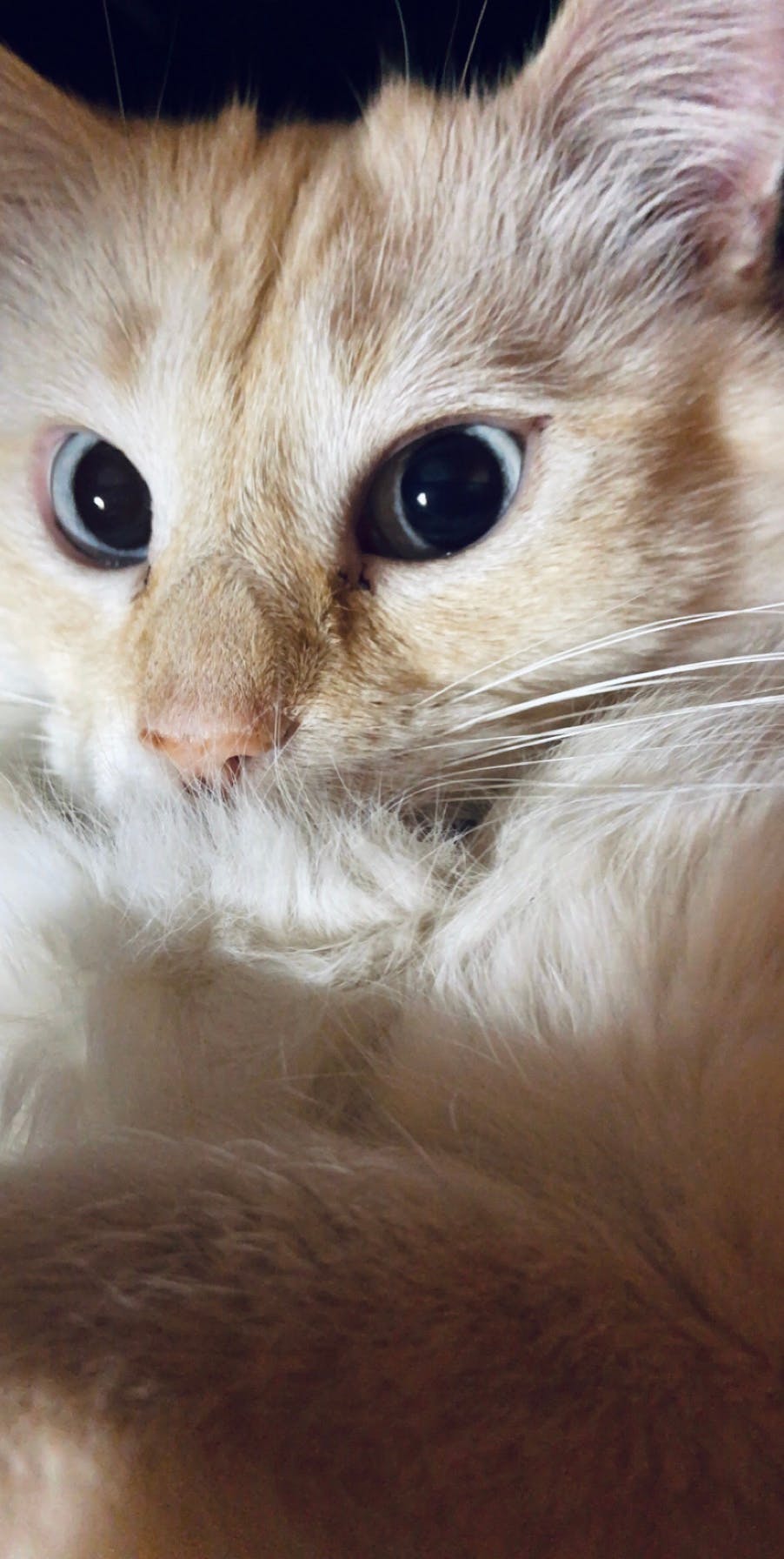 user avatar image for Martha