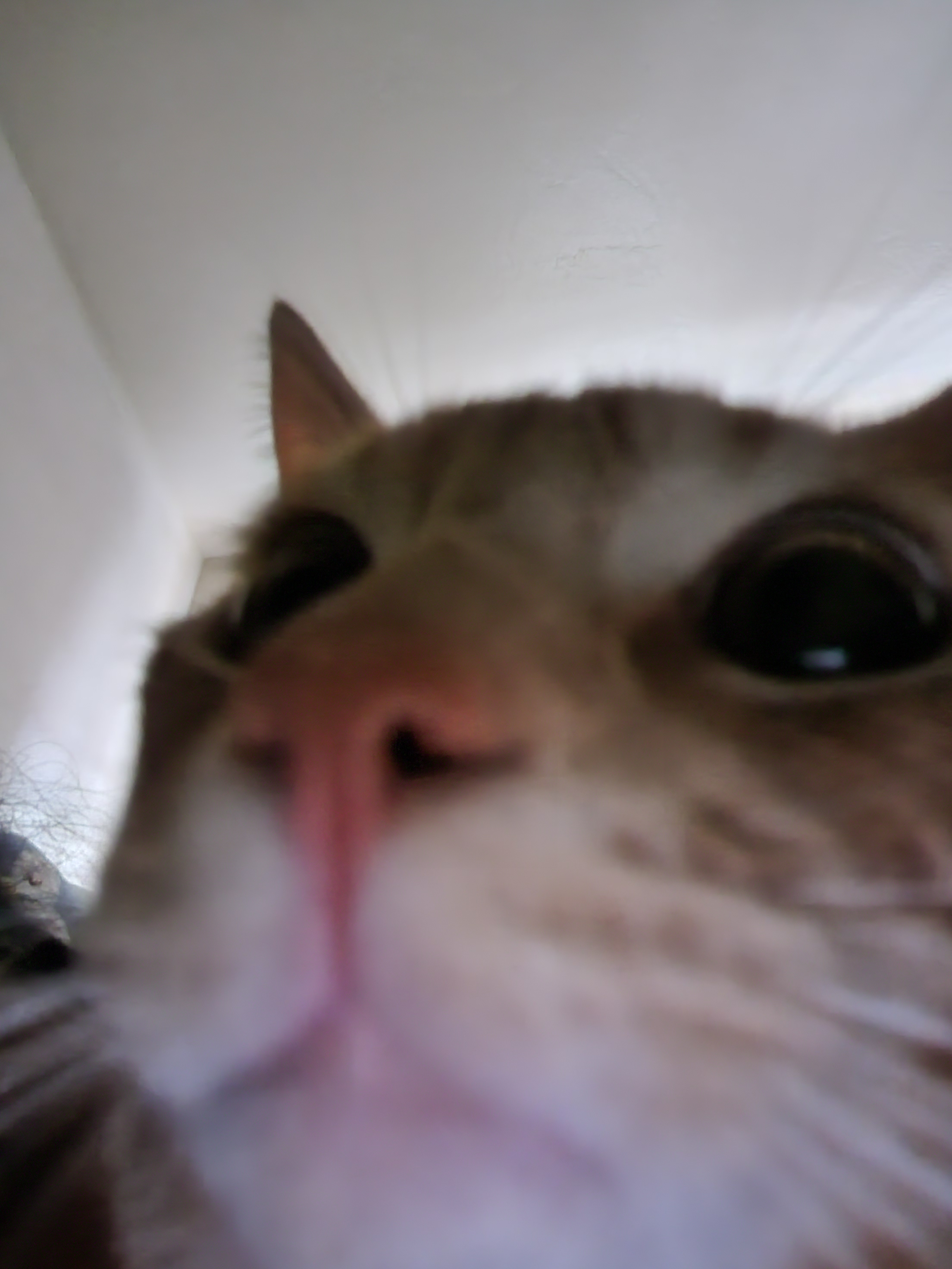 user avatar image for Sunday