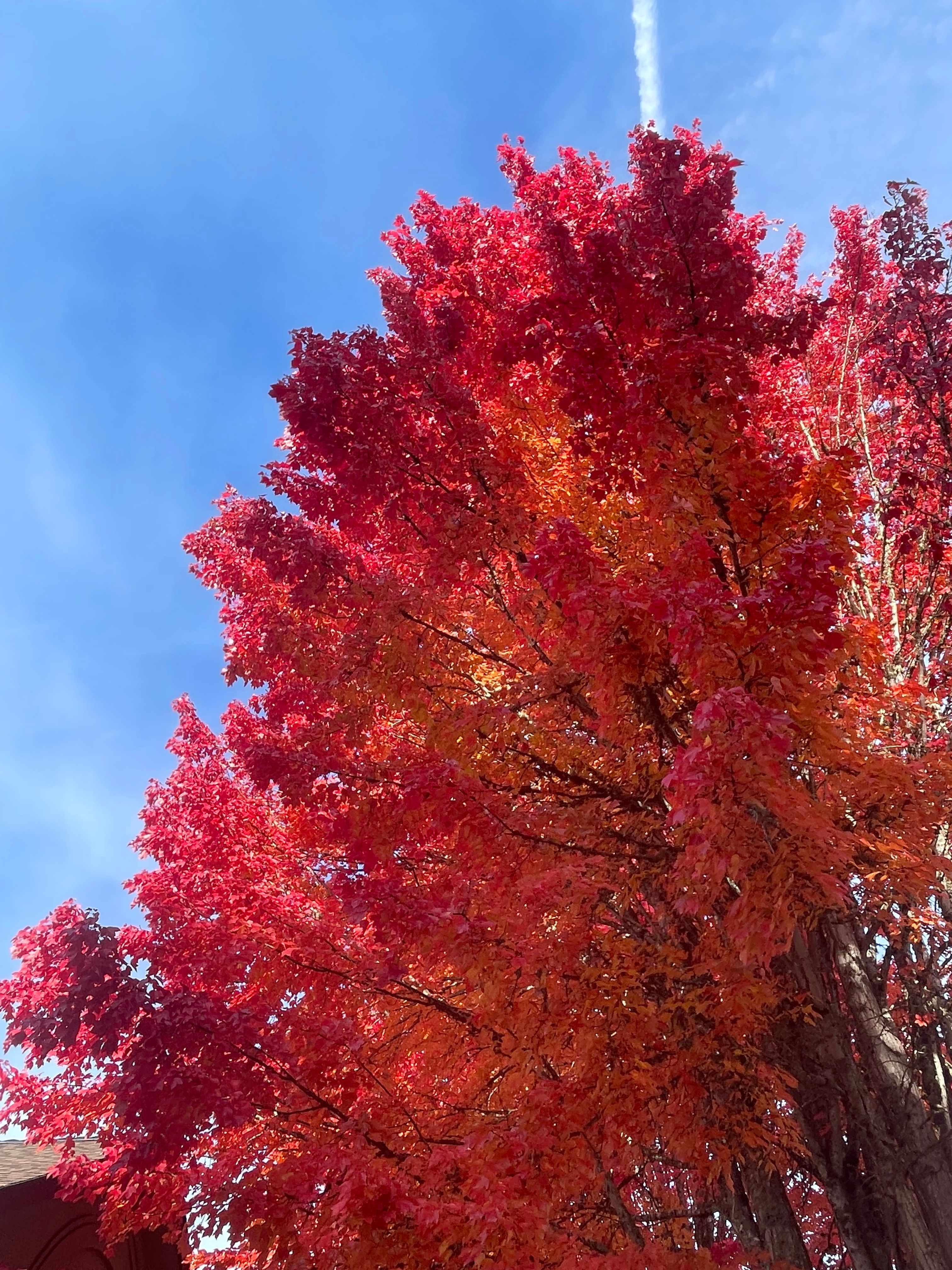 user avatar image for Casey