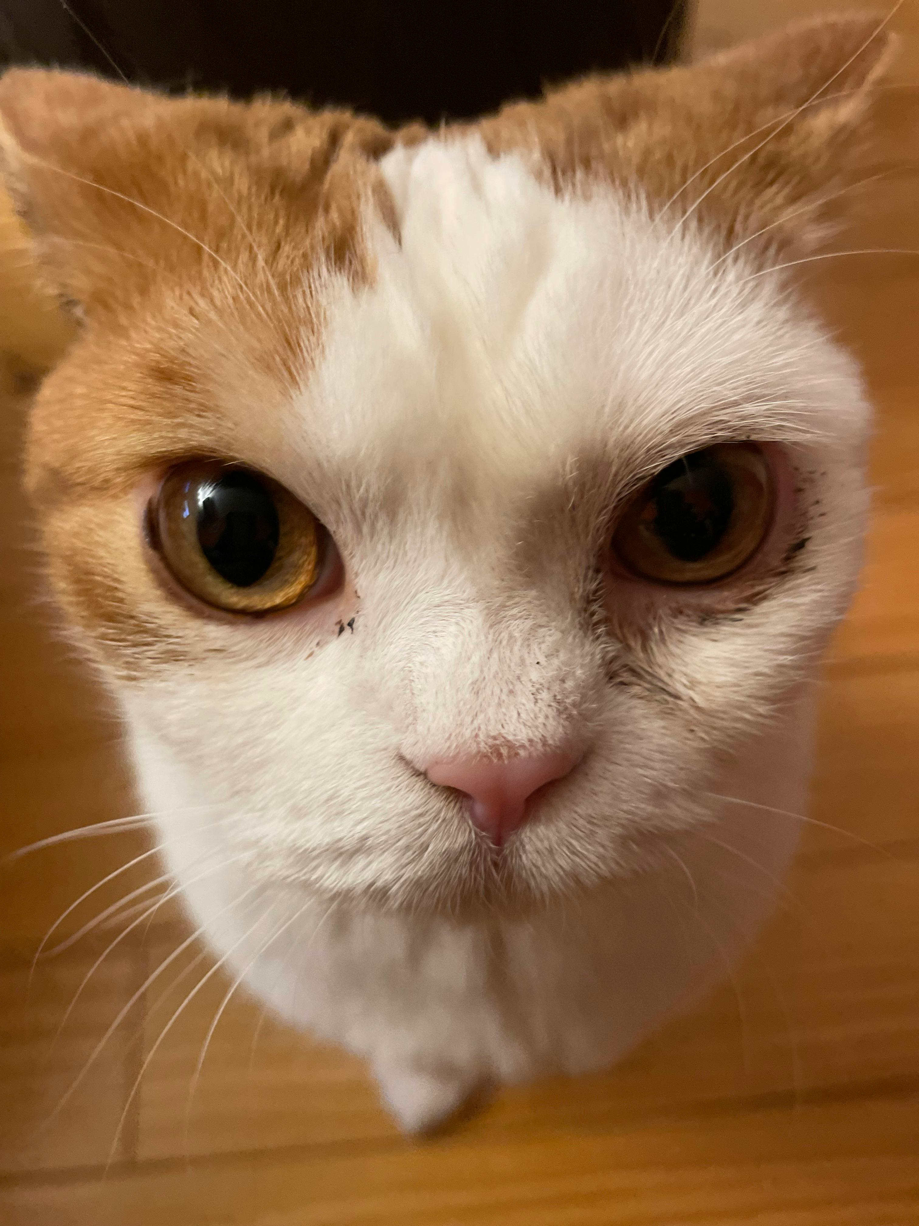 user avatar image for Ken Takami