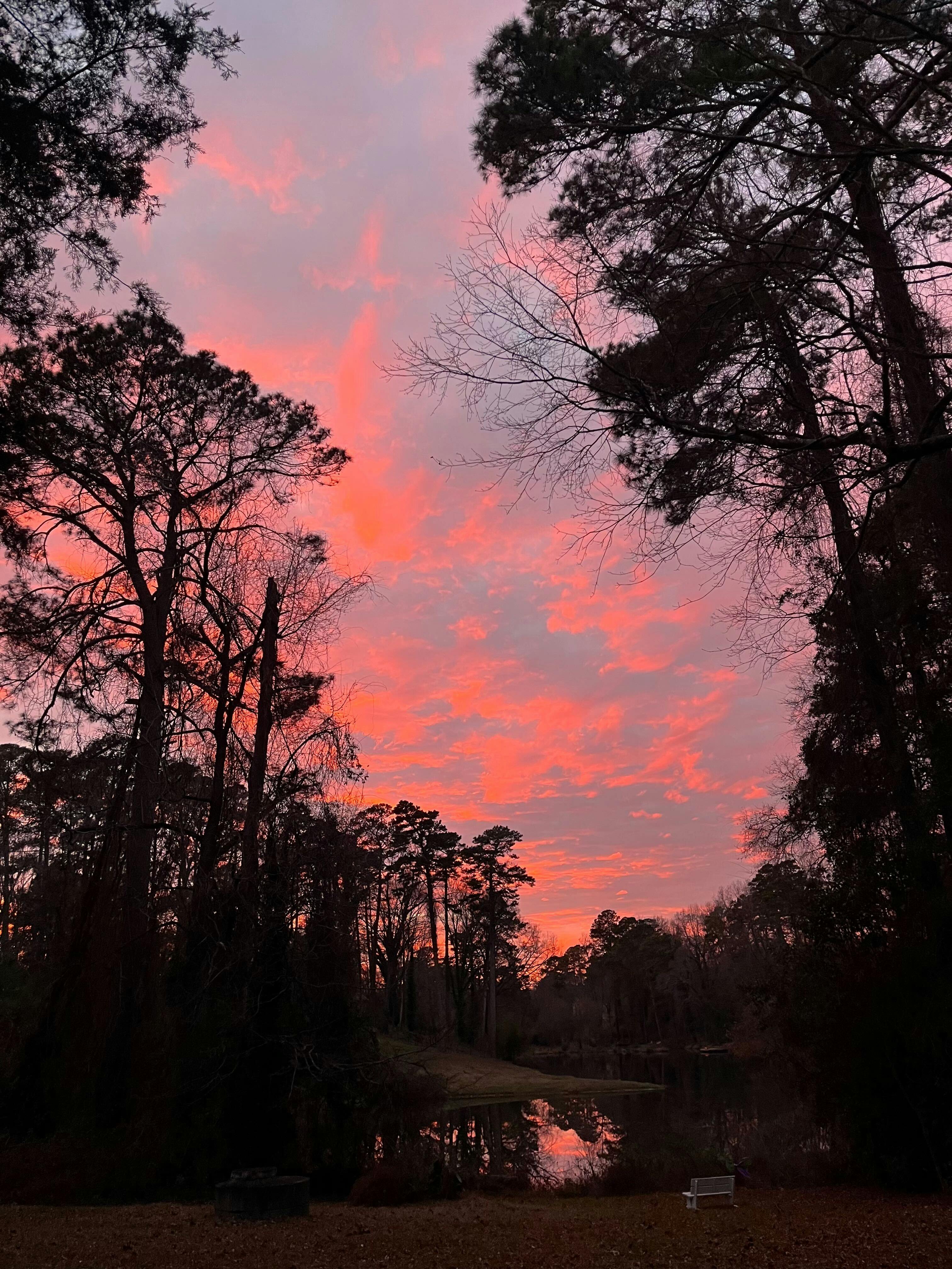 user avatar image for Zelamor