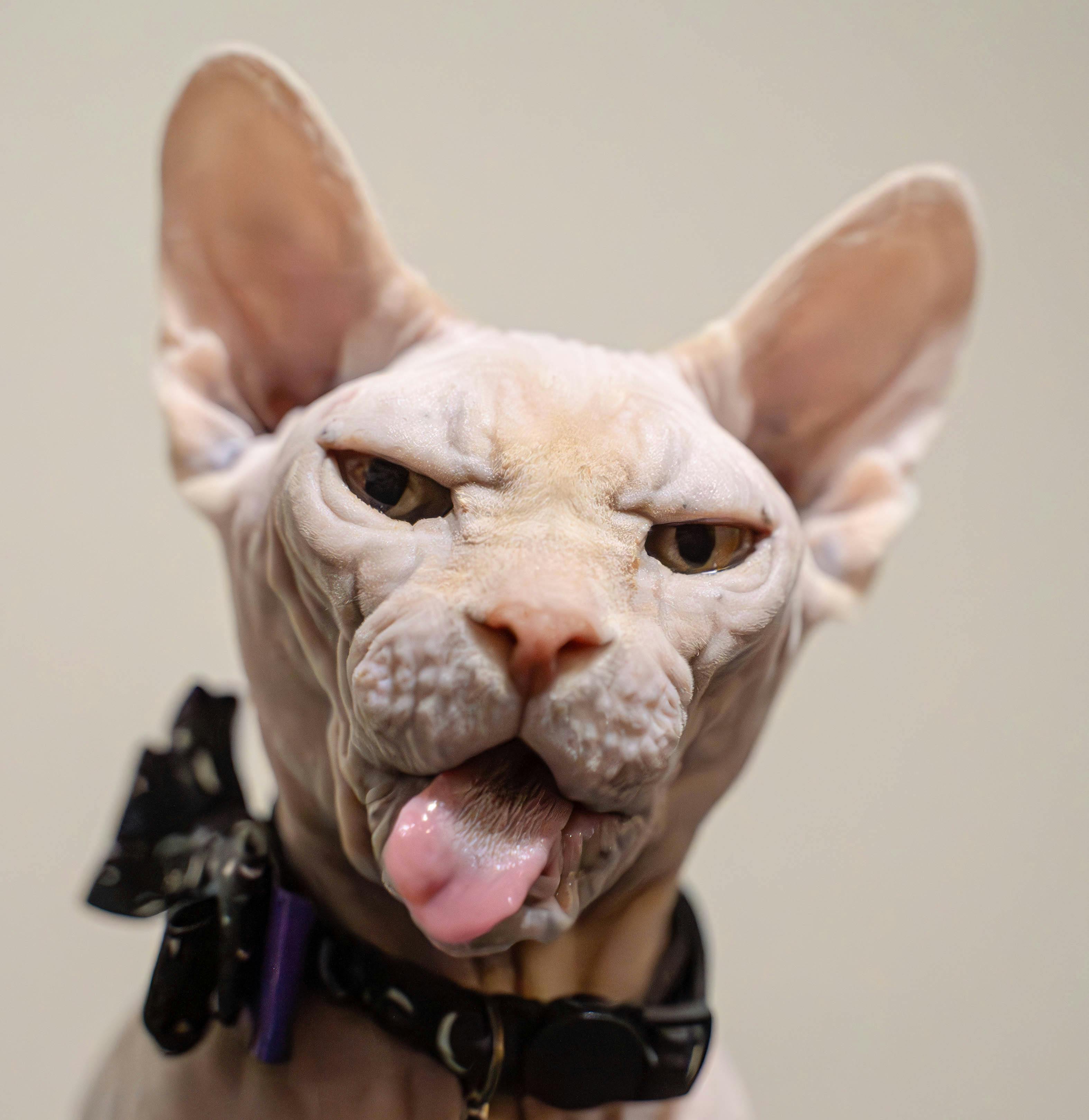 user avatar image for Juniper 