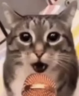 user avatar image for pawsdraws